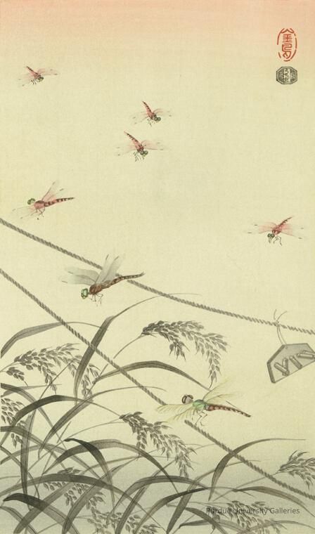 Dragonflies picture number 1