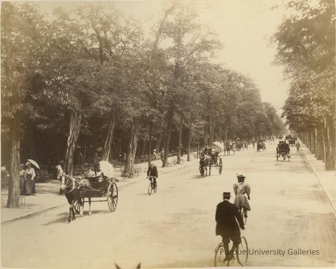 Bois de Boulogne- Allee de Longchamps picture number 1