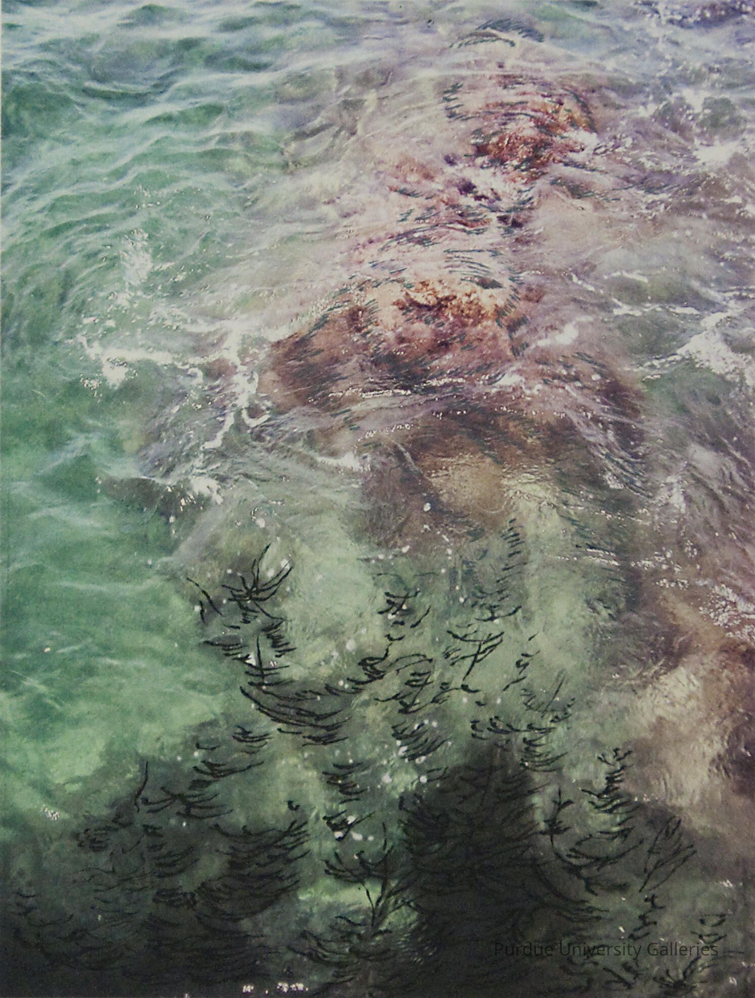 Corps Submerge picture number 1