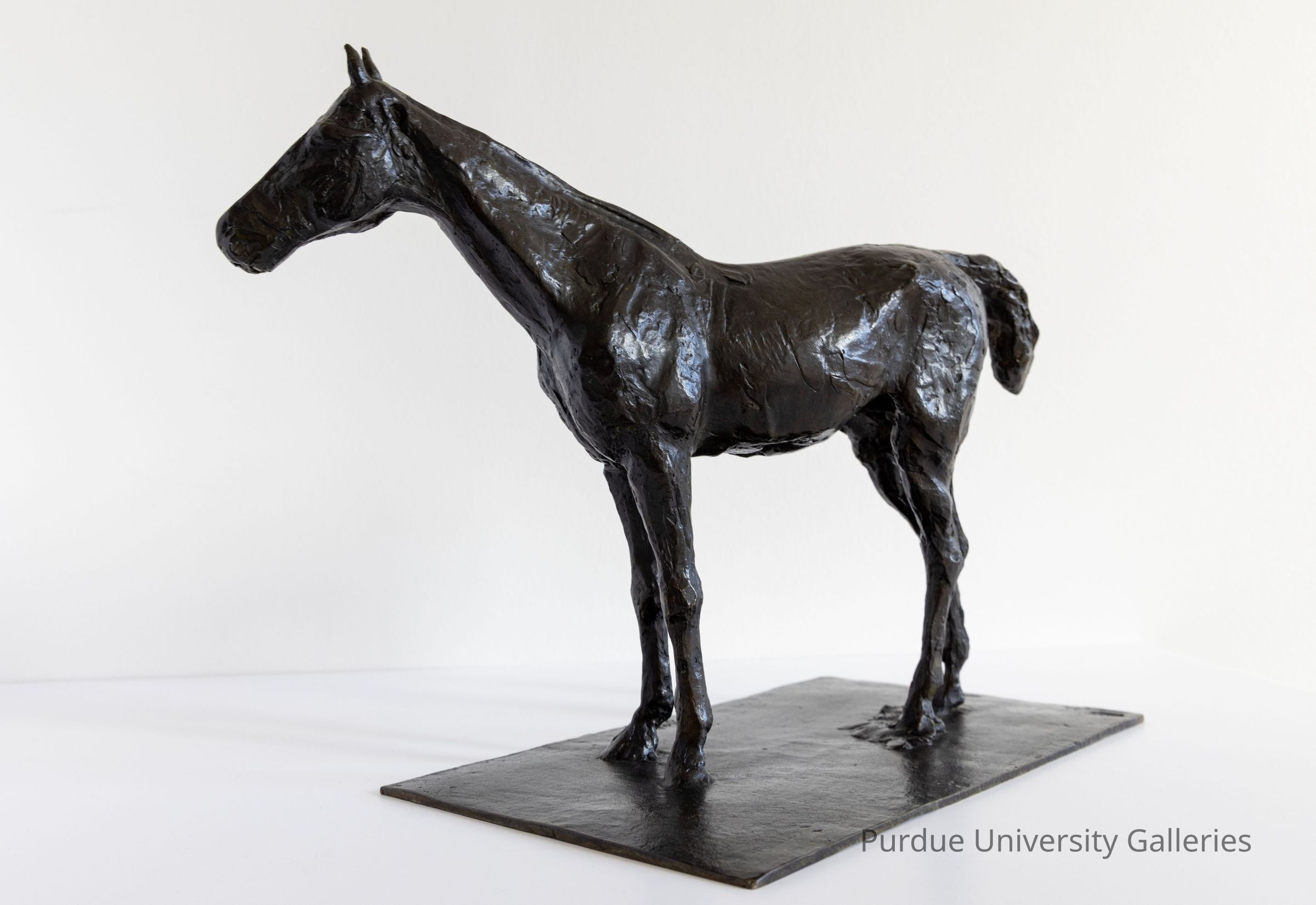 © Purdue University Galleries/Eli Craven and Bayan Yunis