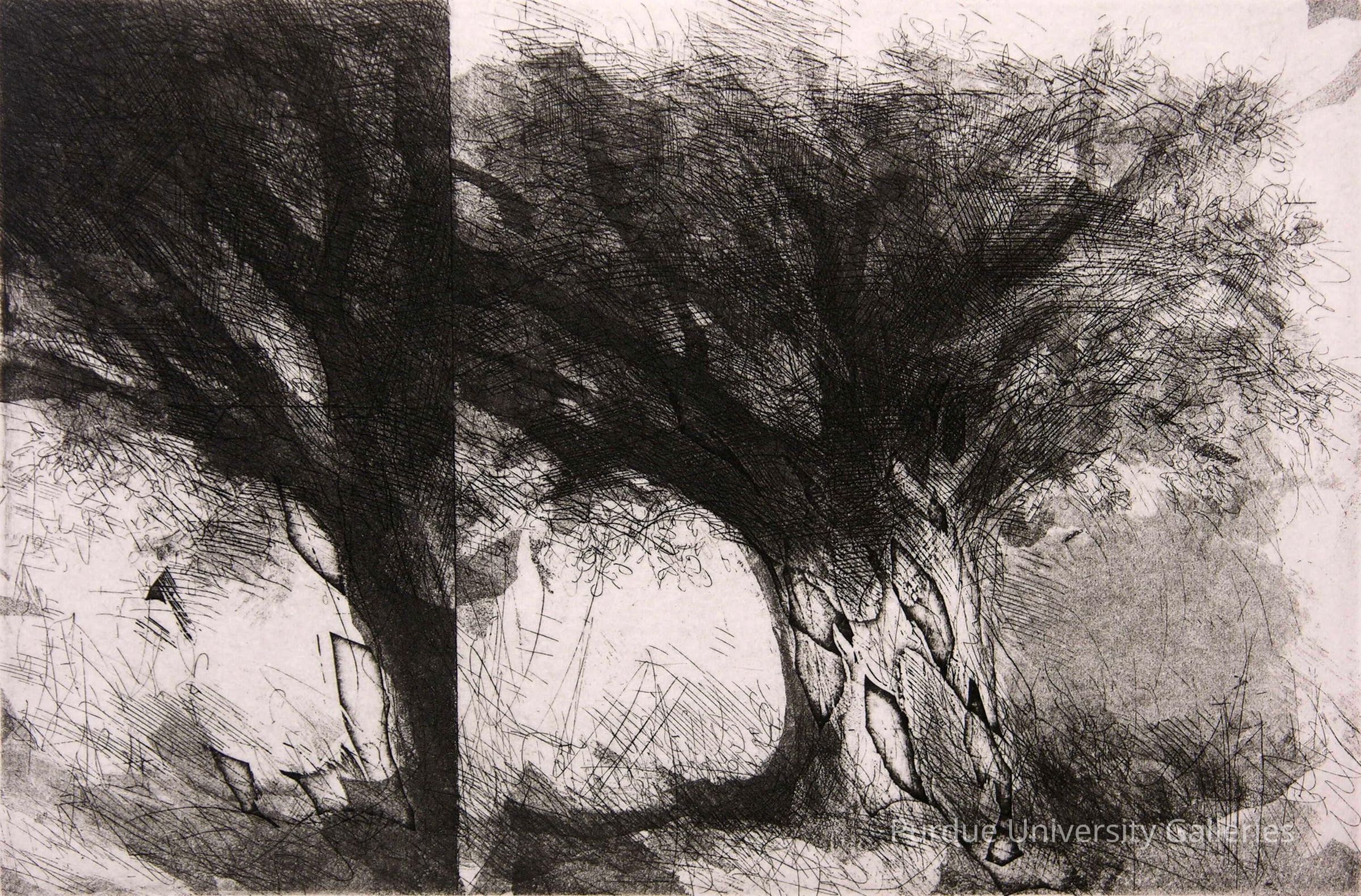 August Tree picture number 1