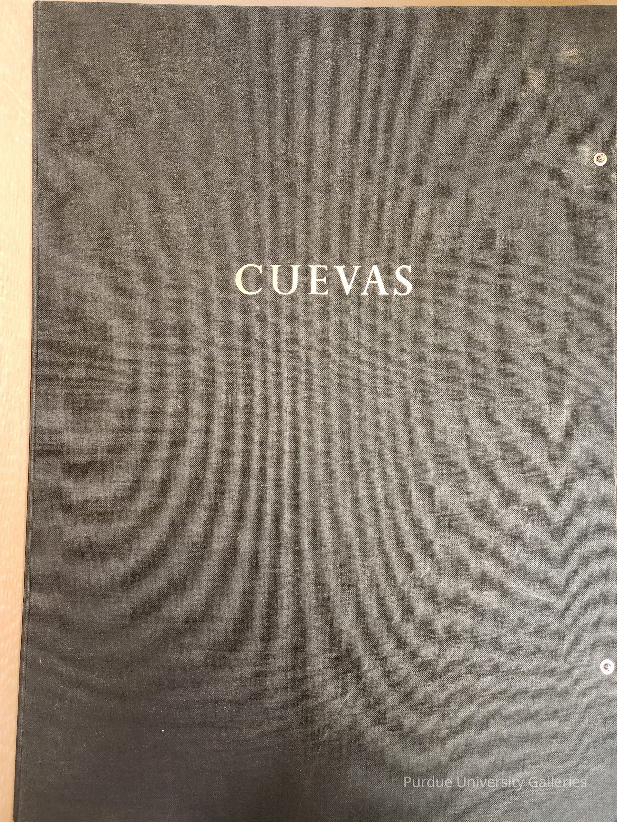 Cuevas Recollections of Childhood Portfolio picture number 1