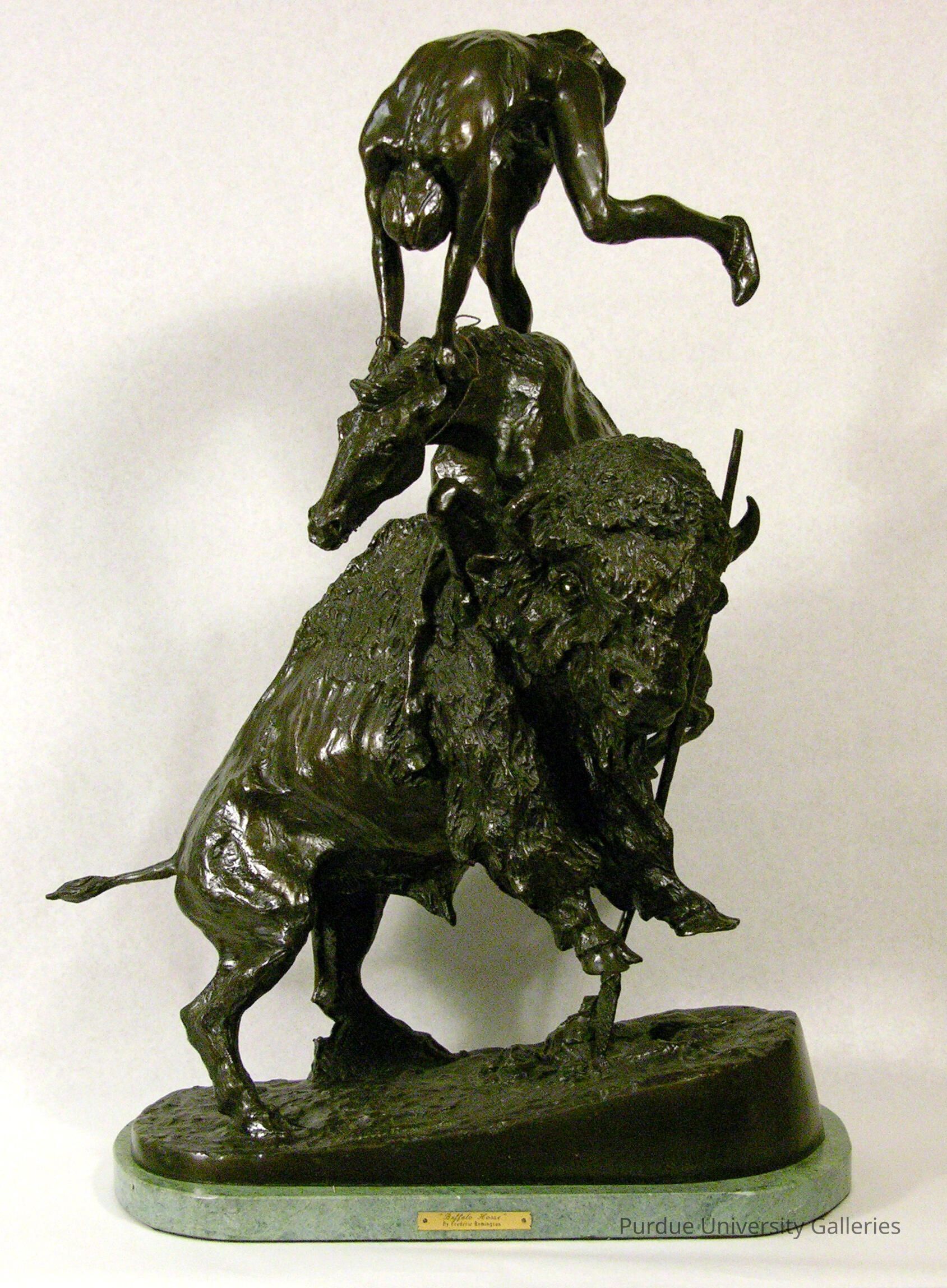 Buffalo Horse, The picture number 1