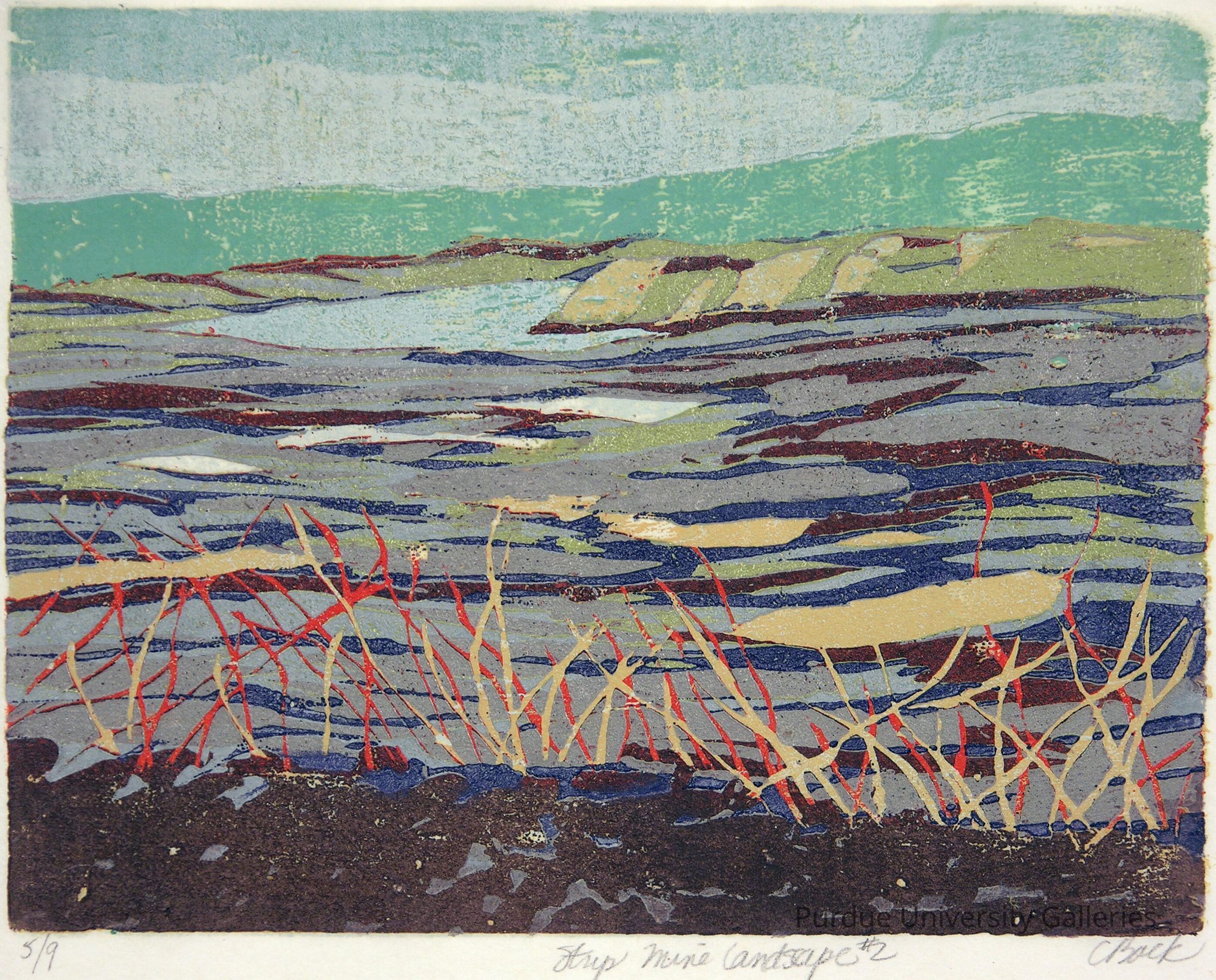 Strip Mine Landscape #2 picture number 1