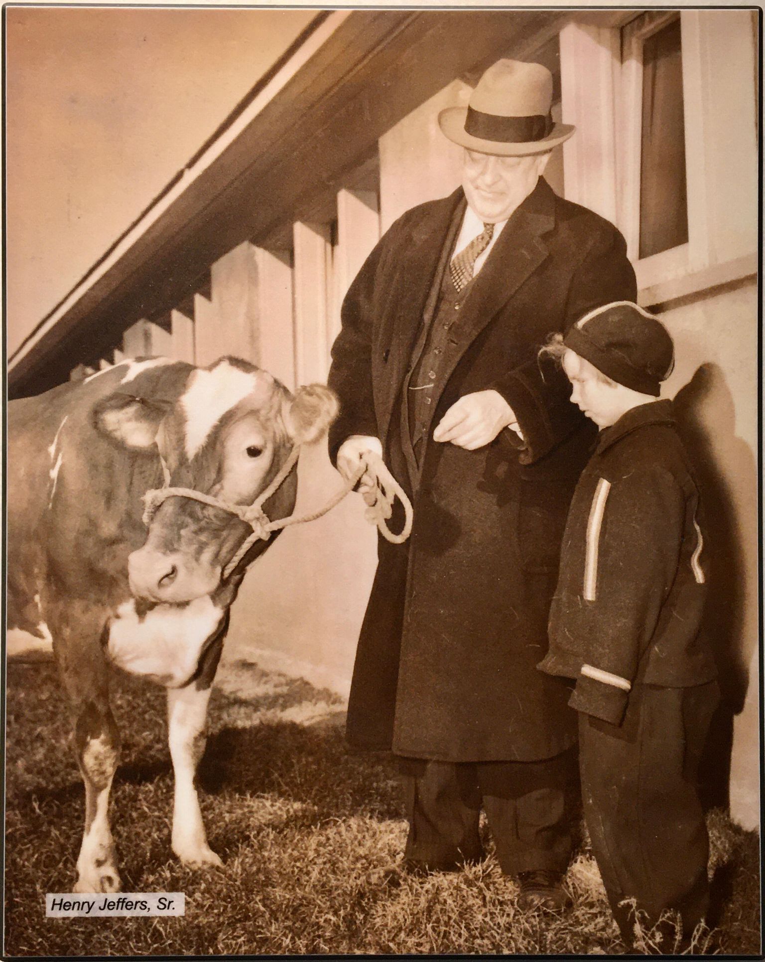 Walker-Gordon & Elsie the Cow