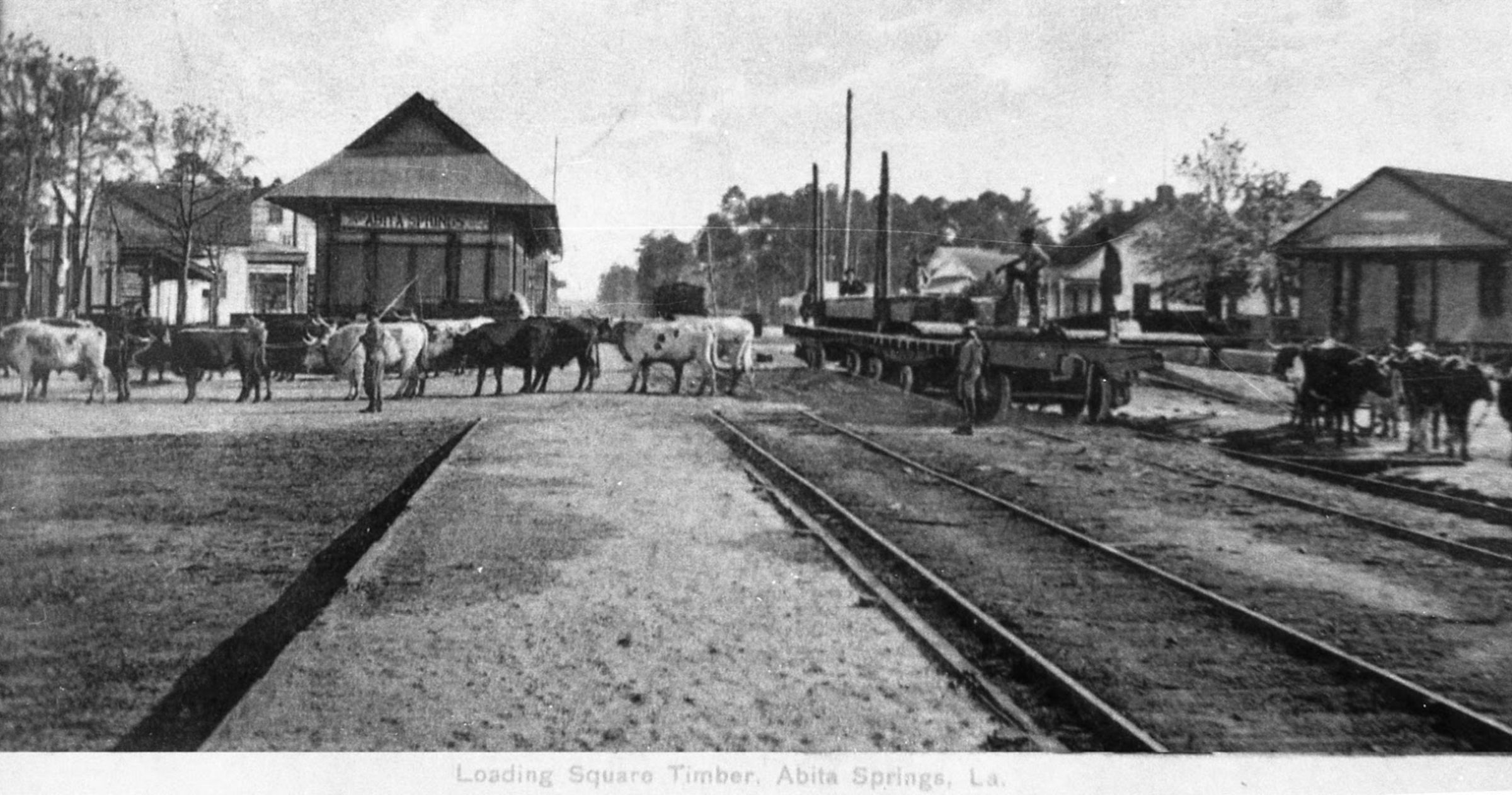 Abita Springs Trailhead Museum hero image