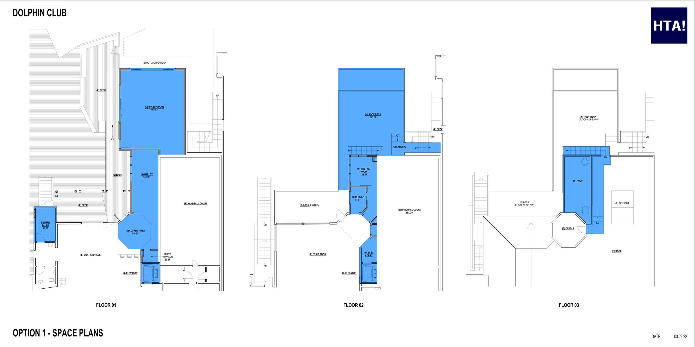 6 pg pdf of three options, shows first page Option 1 space plans