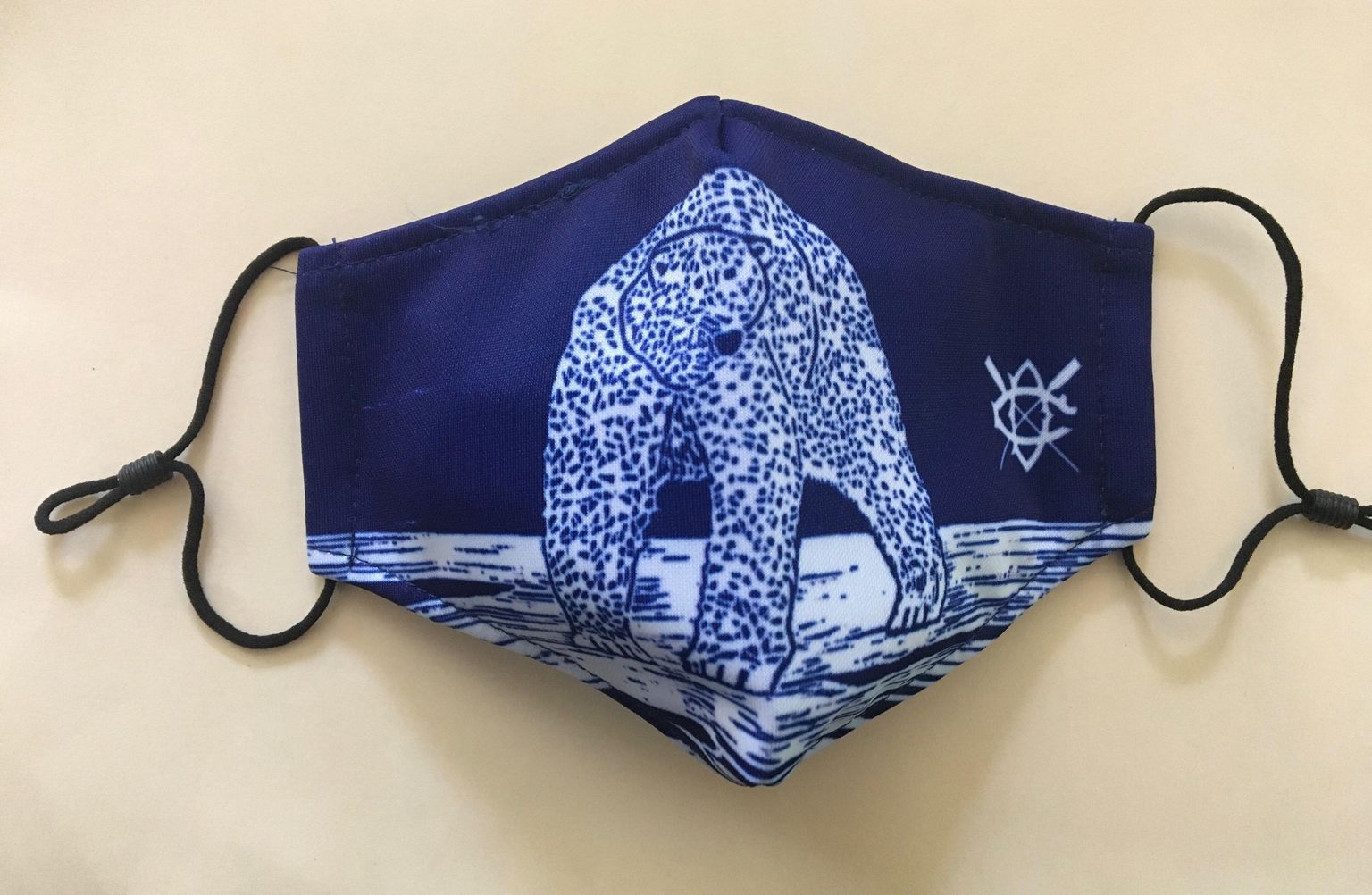 Take a Look: The Polar Bear Swim