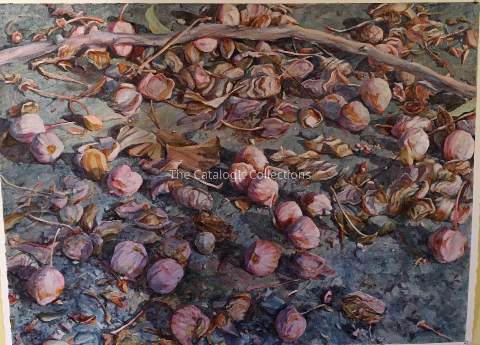 Corporate Collection