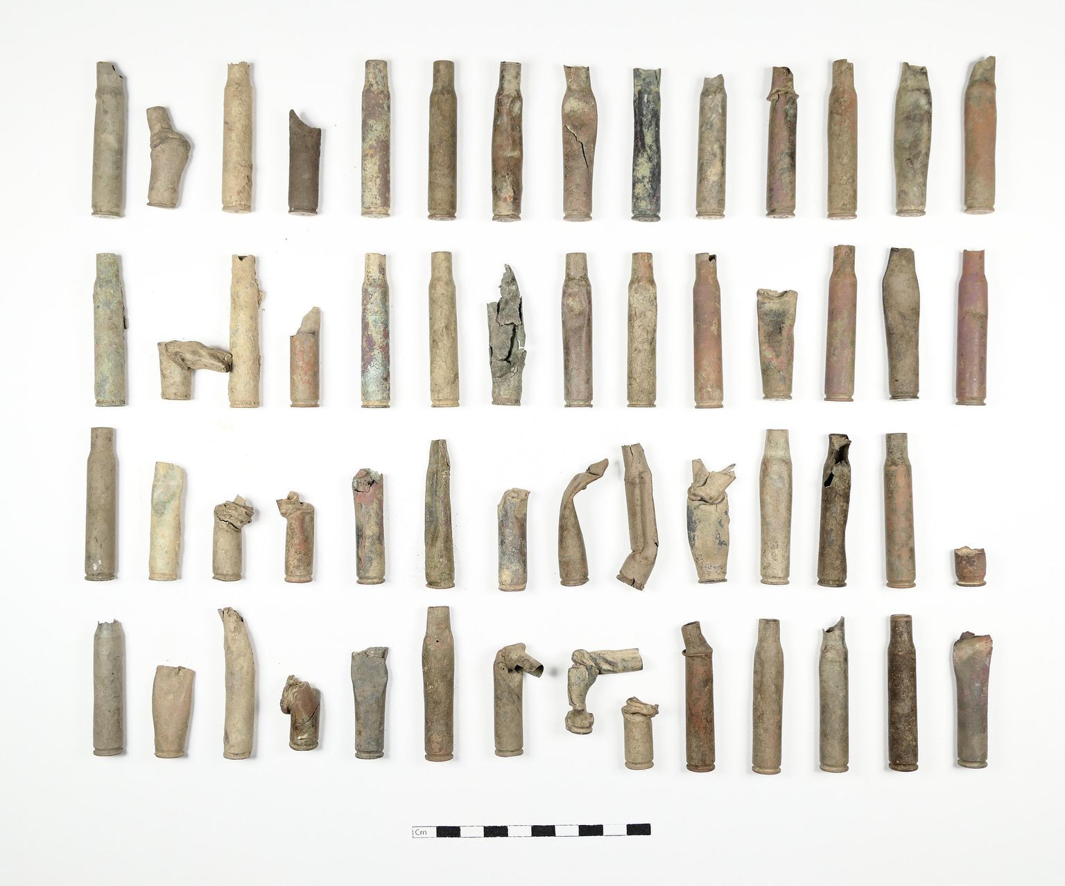 The Land Will Tell the Story