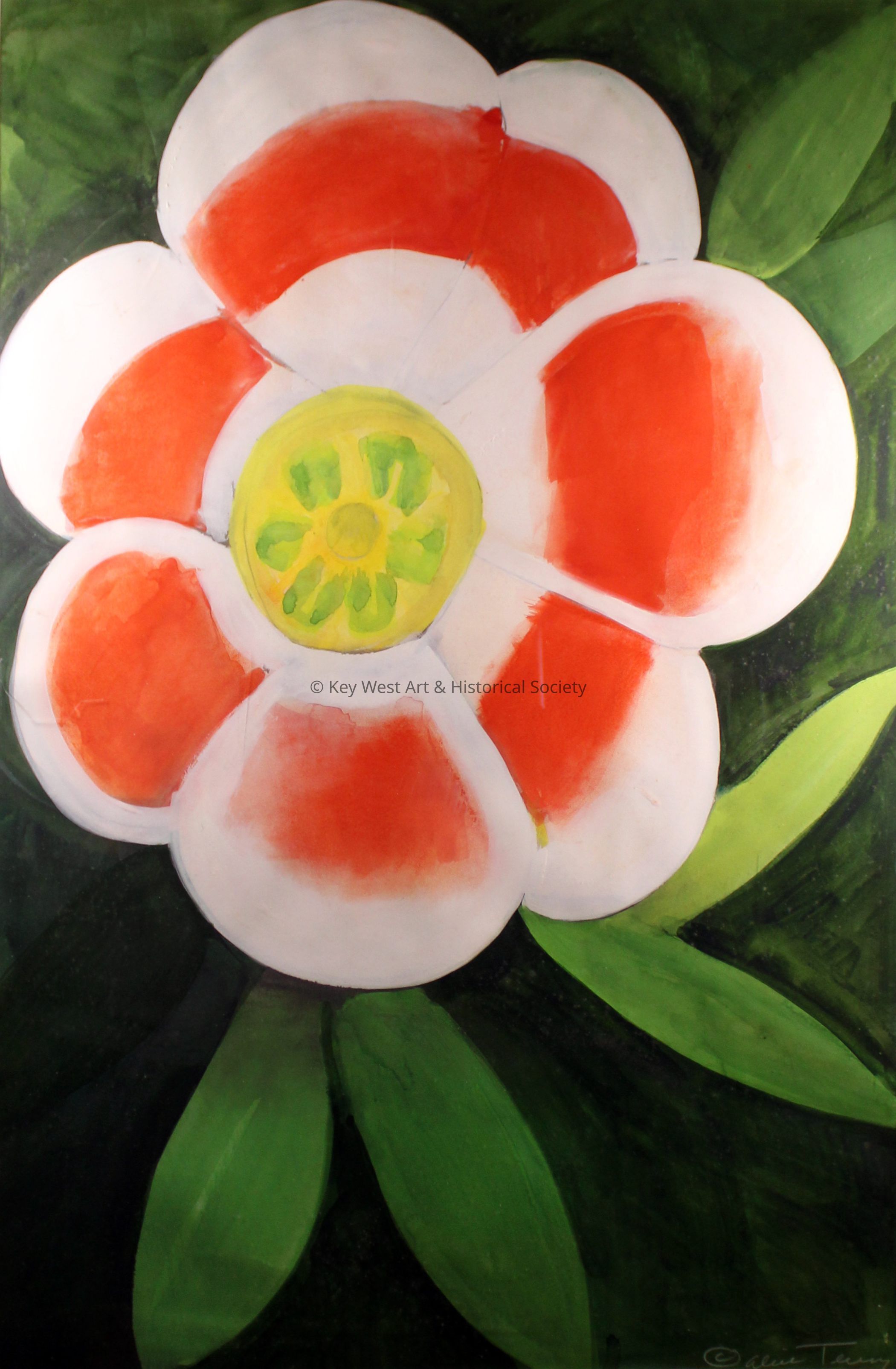 Autograph Tree or Pitch Apple; © Key West Art & Historical Society