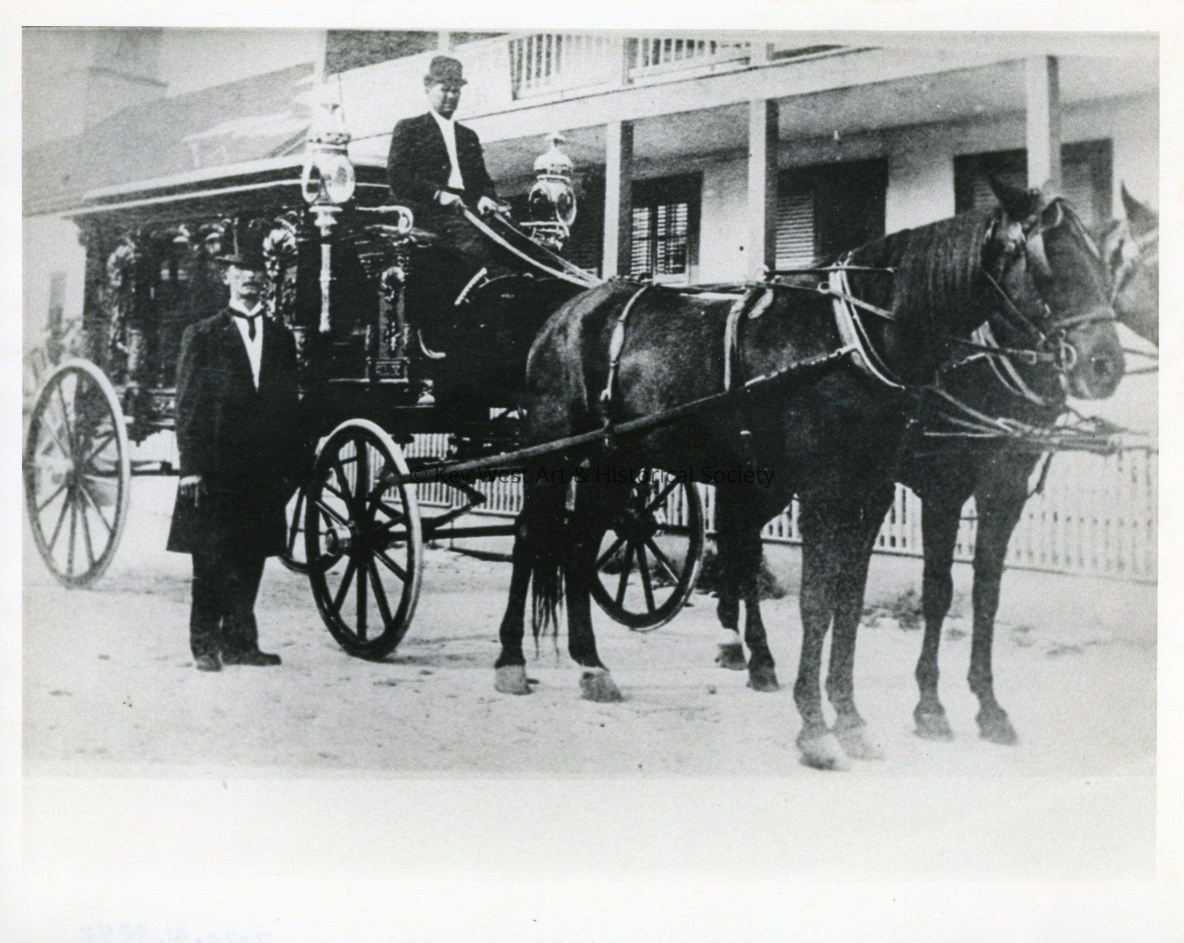 Horse and Buggy picture number 1