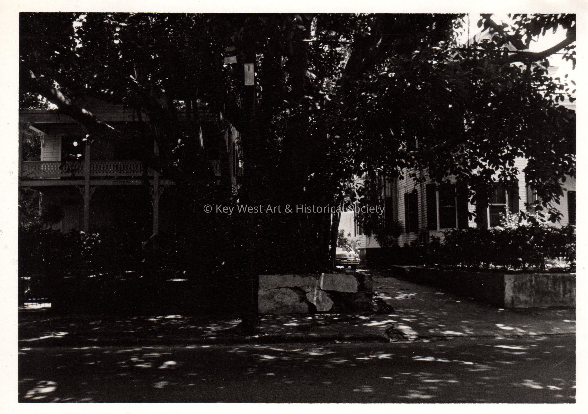 Houses on Whitehead Street picture number 1