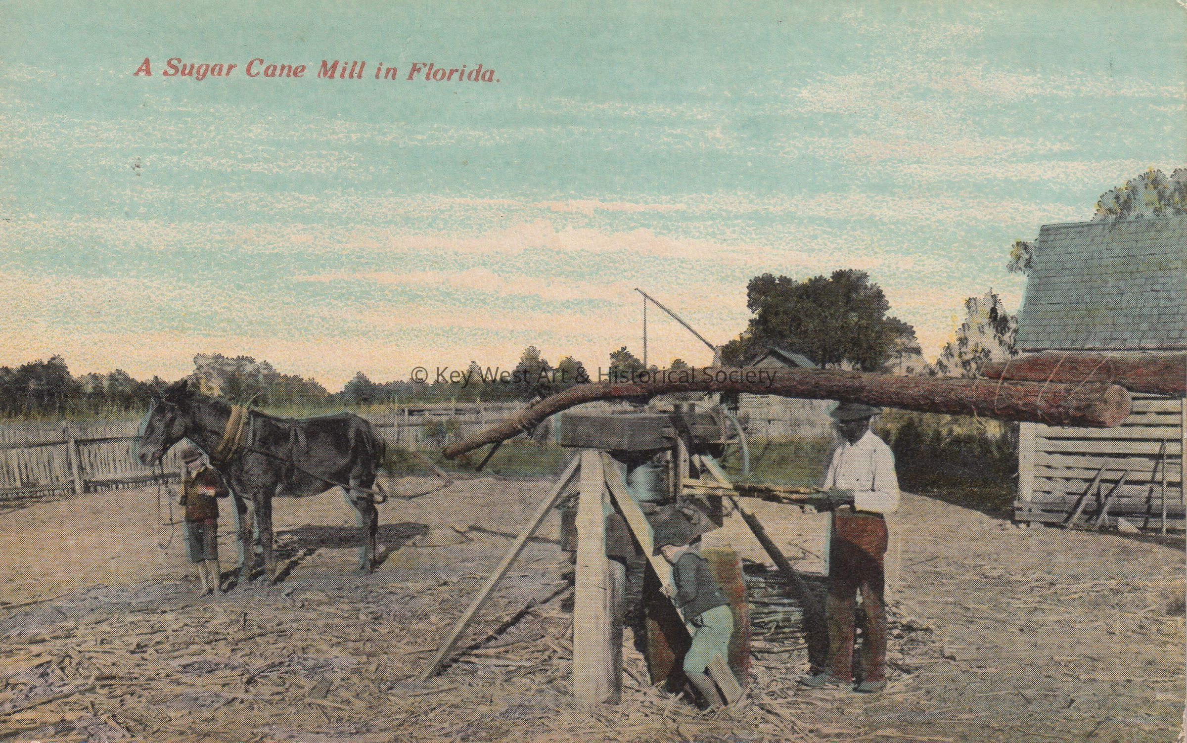 A Sugar Cane Mill in Florida