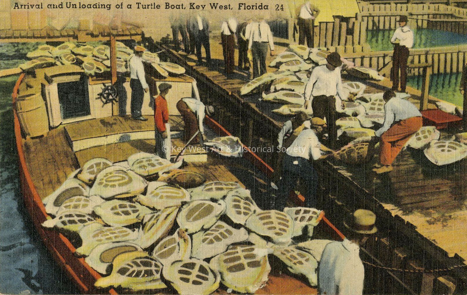 Arrival and Unloading of a Turtle Boat, Key West, Florida; © Key West Art & Historical Society