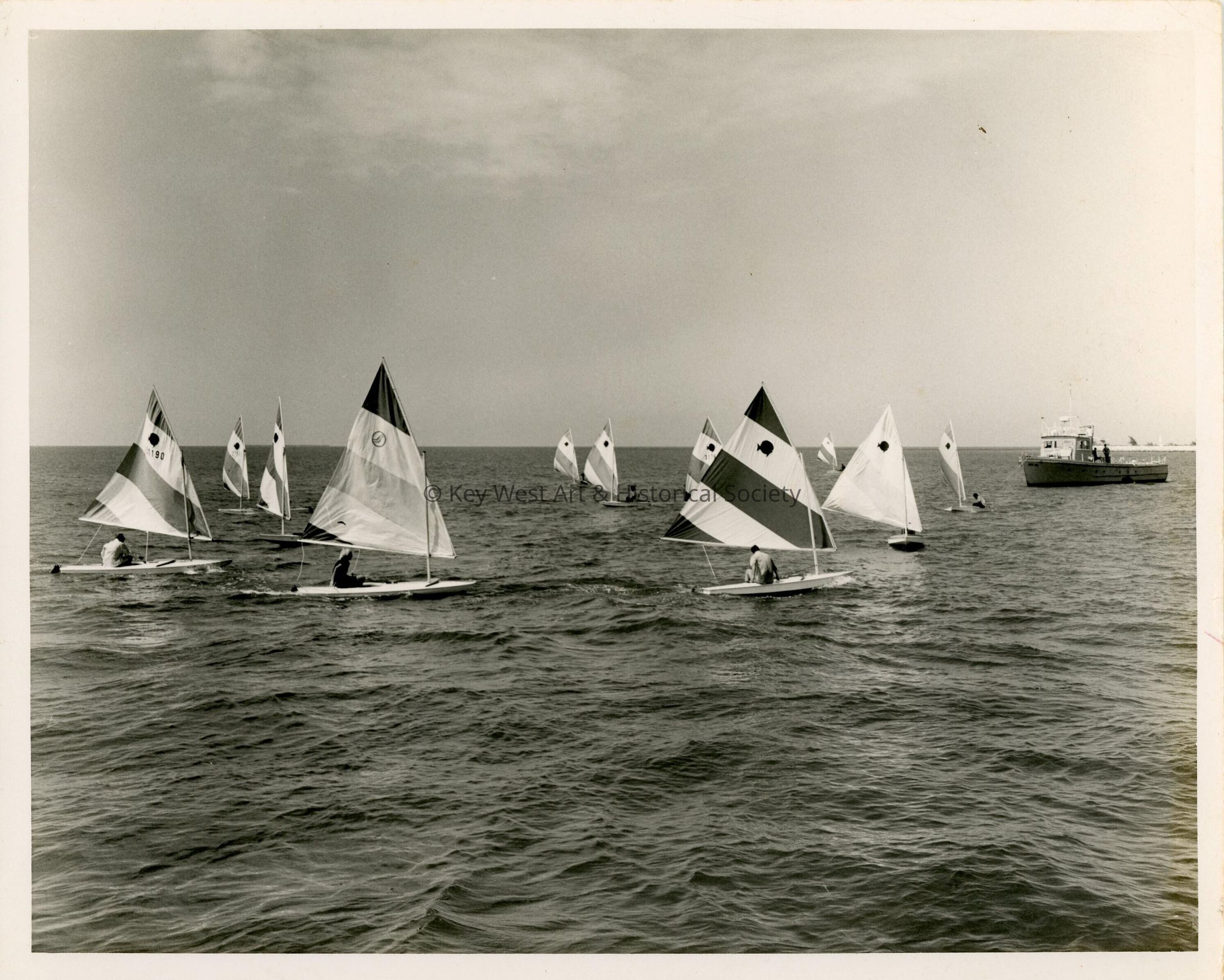 Sailboats in the ocean