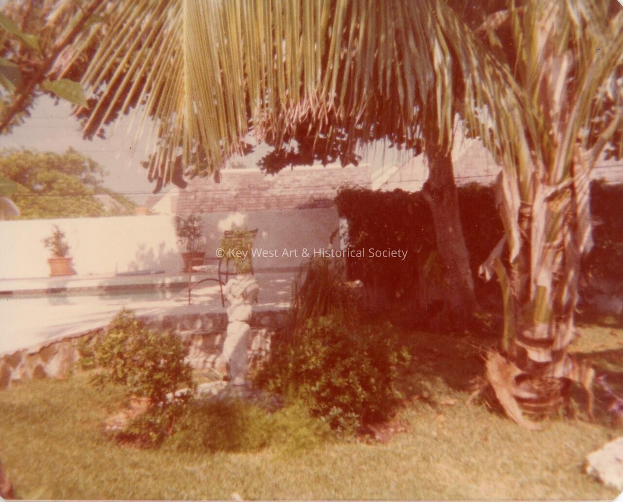 A yard