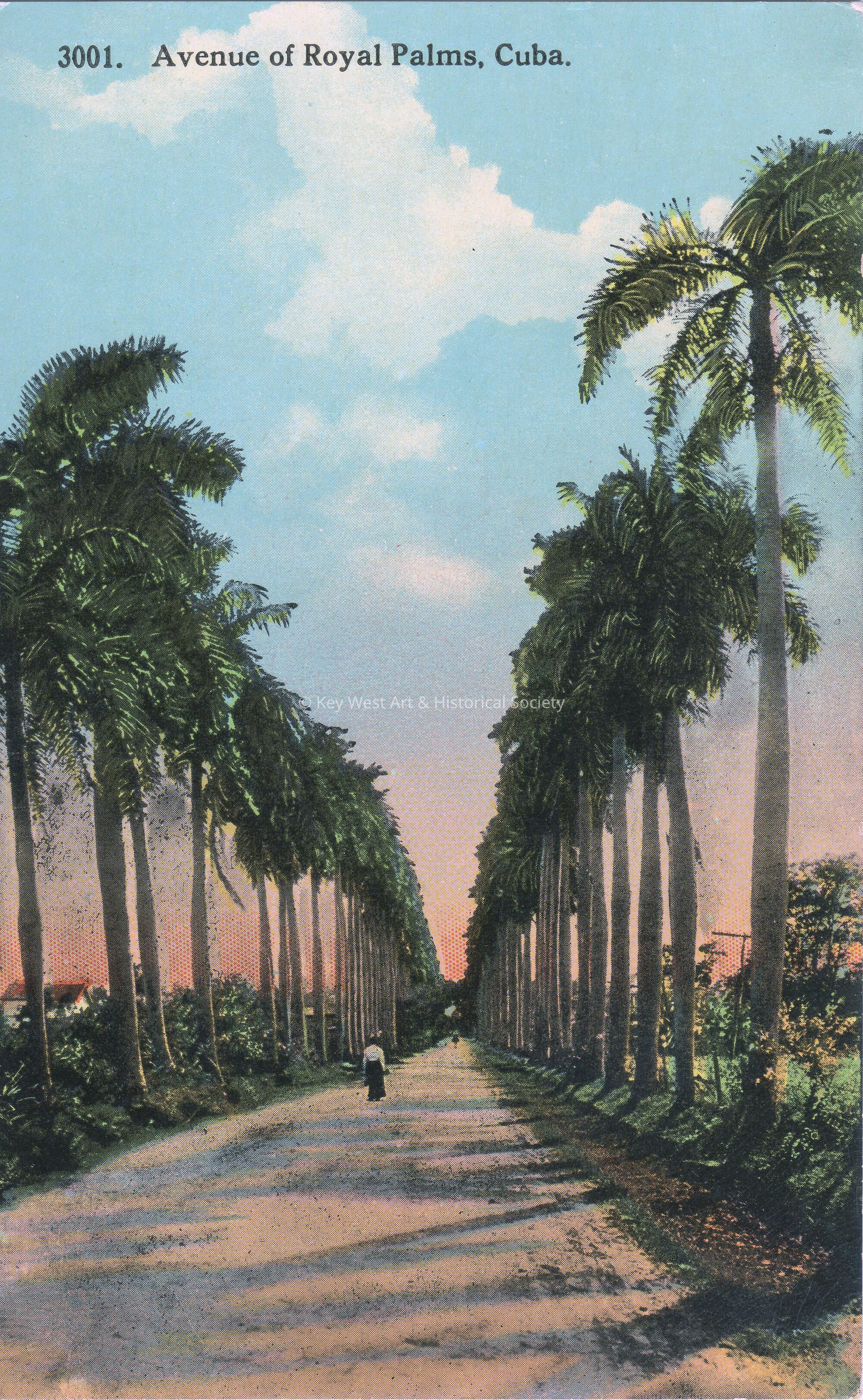 Avenue of Royal Palms, Cuba; © Key West Art & Historical Society