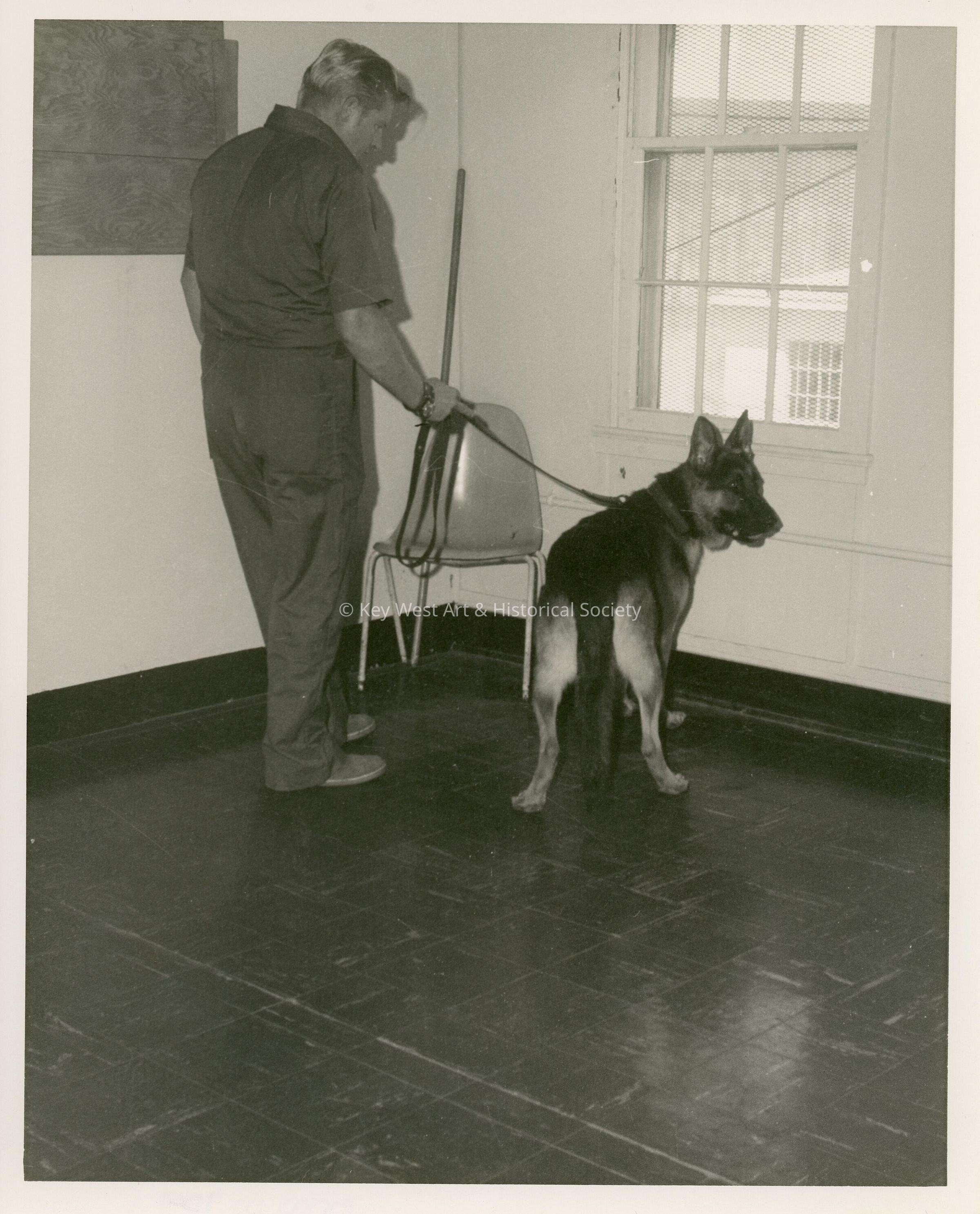 An unknown man with a German Shepard dog