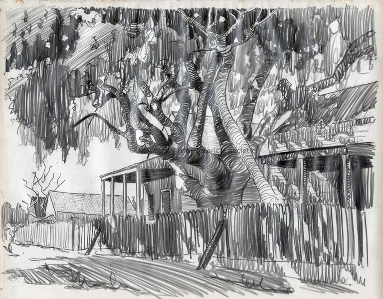 Backyard Banyan; © Key West Art & Historical Society