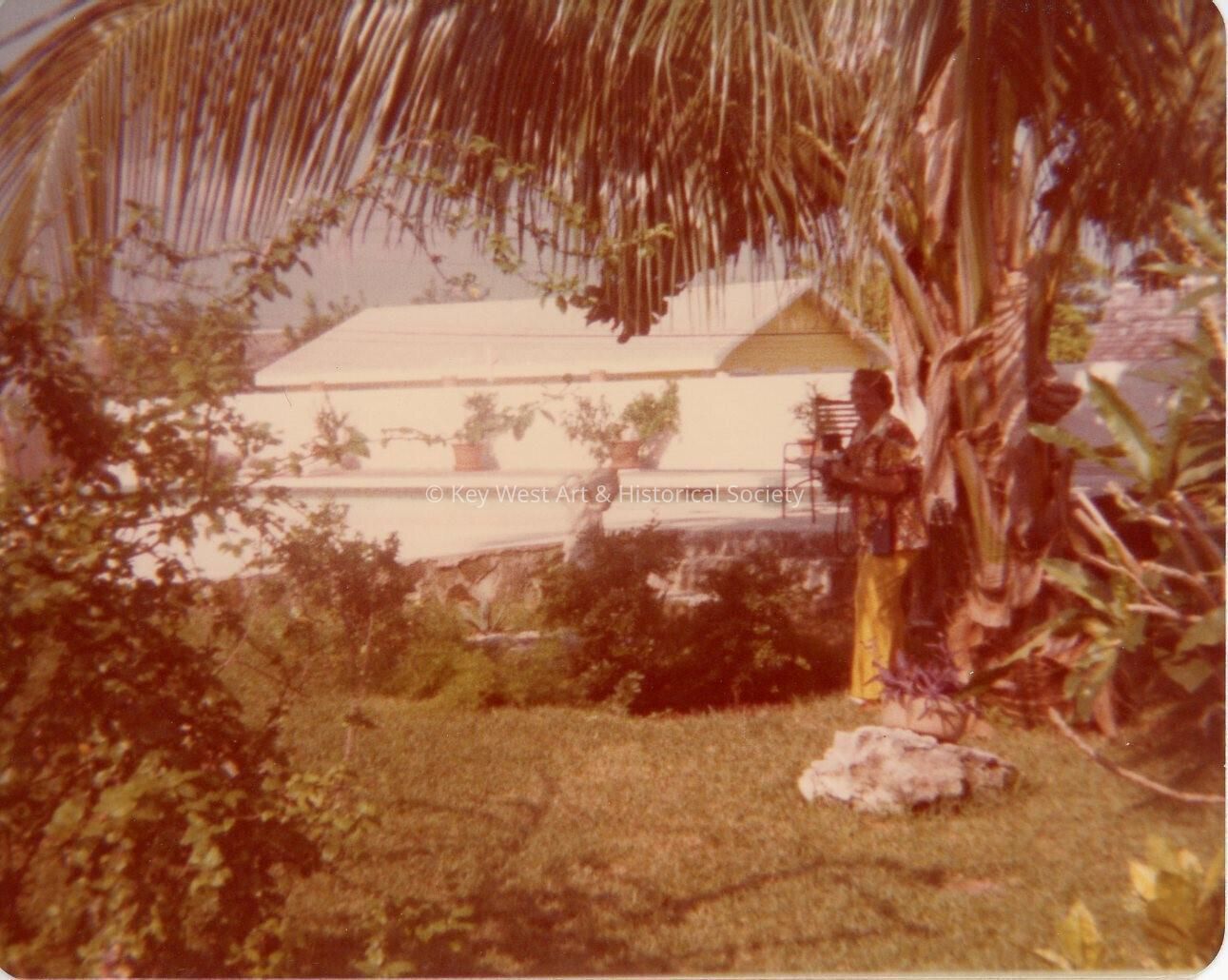 A yard