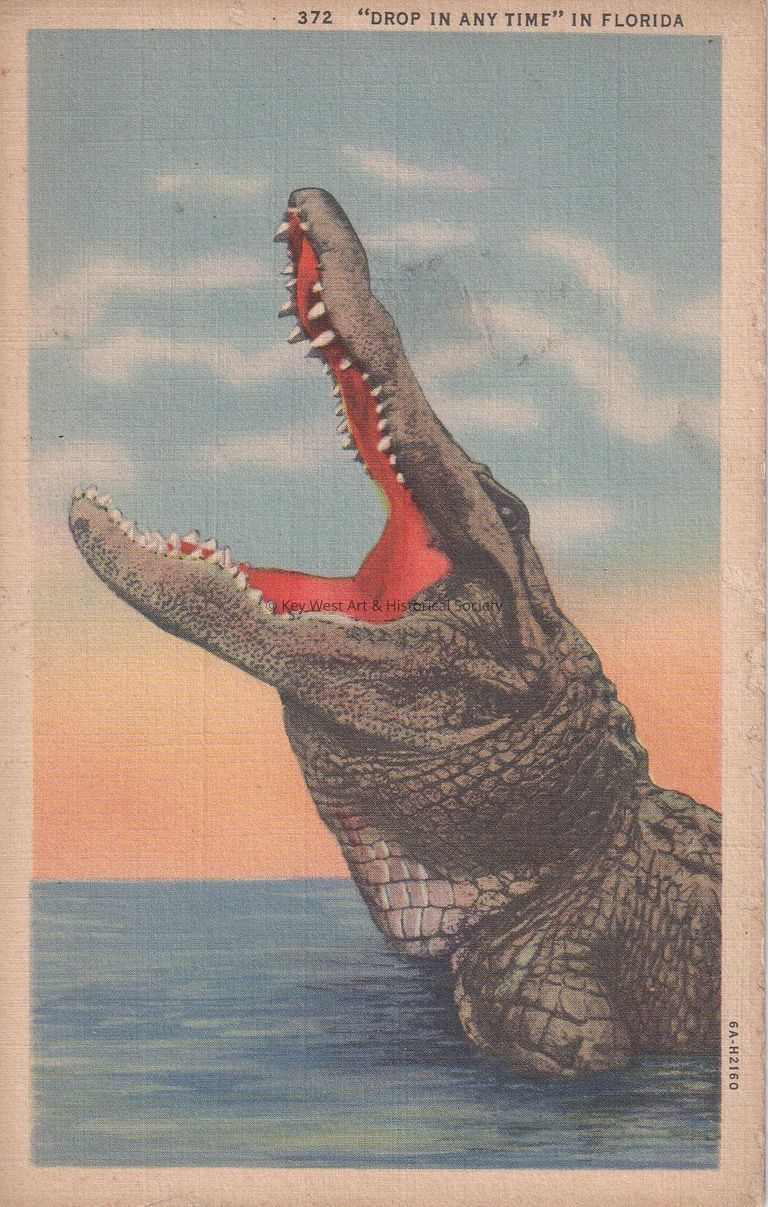 'Drop in Any Time' in Florida; © Key West Art & Historical Society