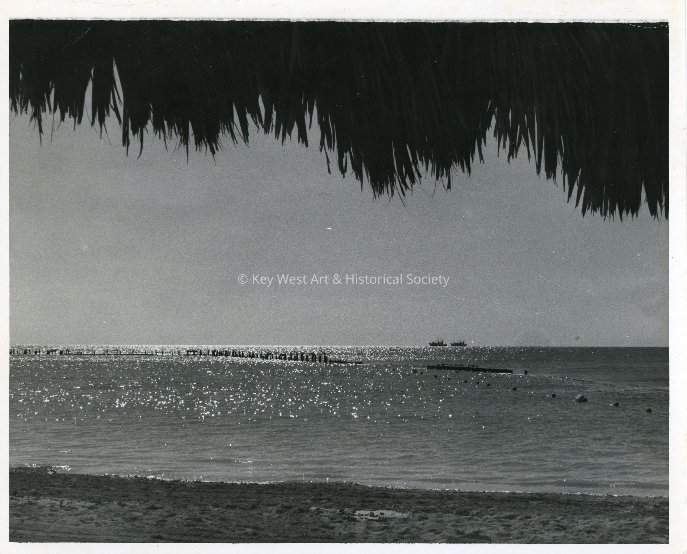 Higgs Beach picture number 1