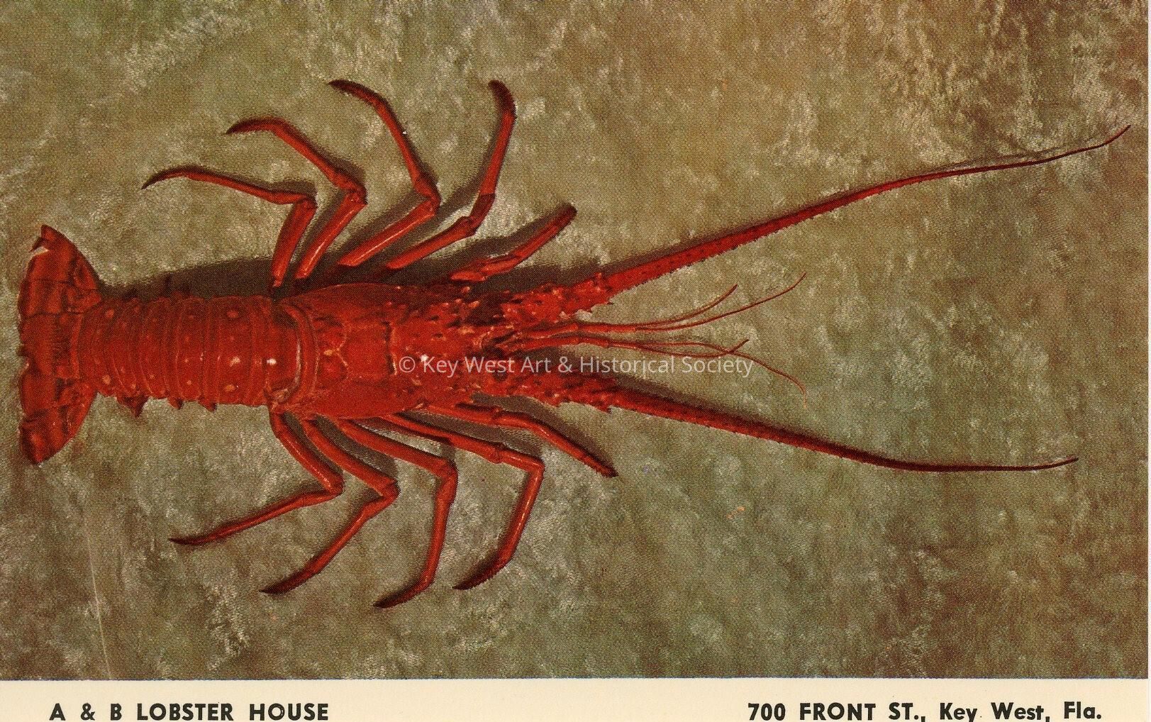 A & B Lobster House
