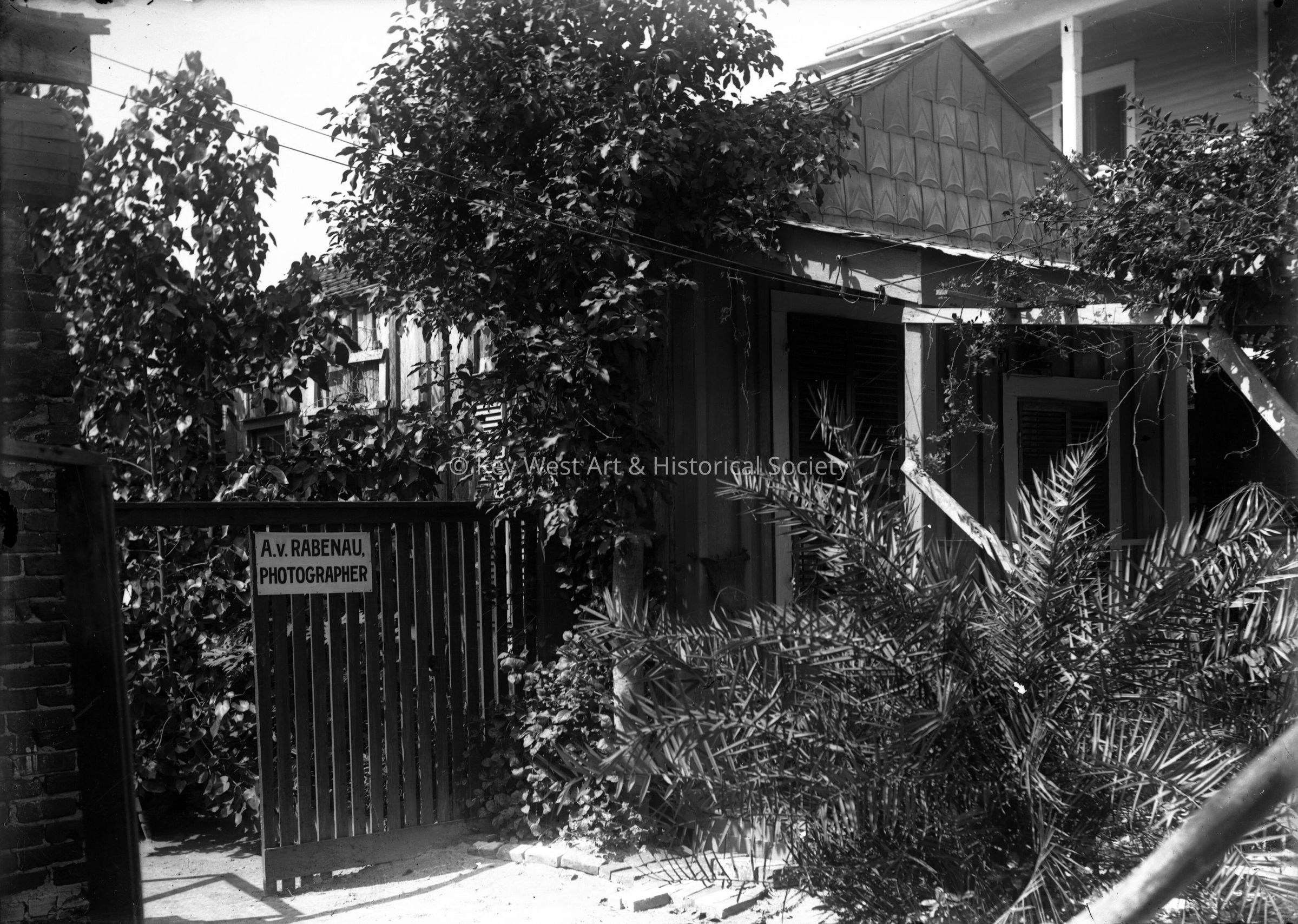 A.v. Rabenau Photography Studio