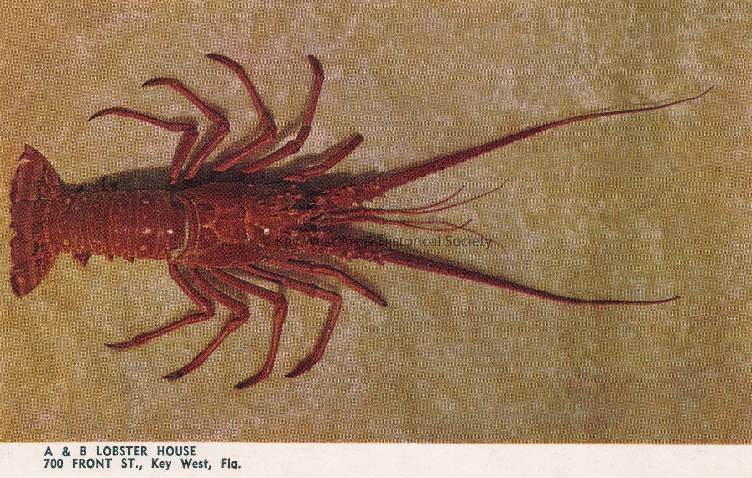 A & B Lobster House