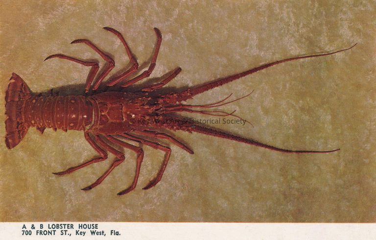 A & B Lobster House
