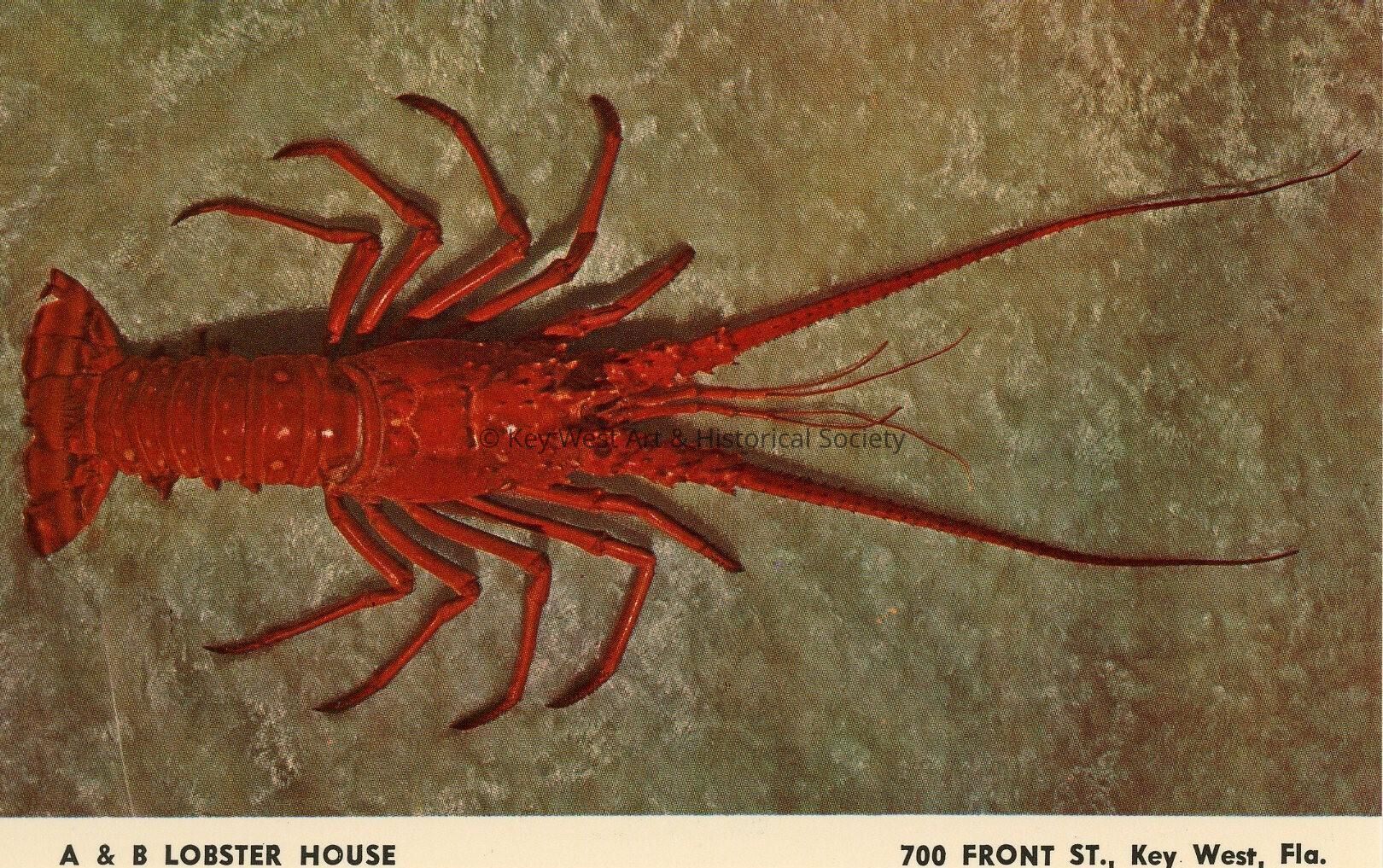 A & B Lobster House