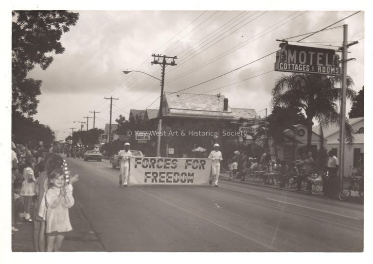 'Forces for Freedom' Sign in a Parade picture number 1