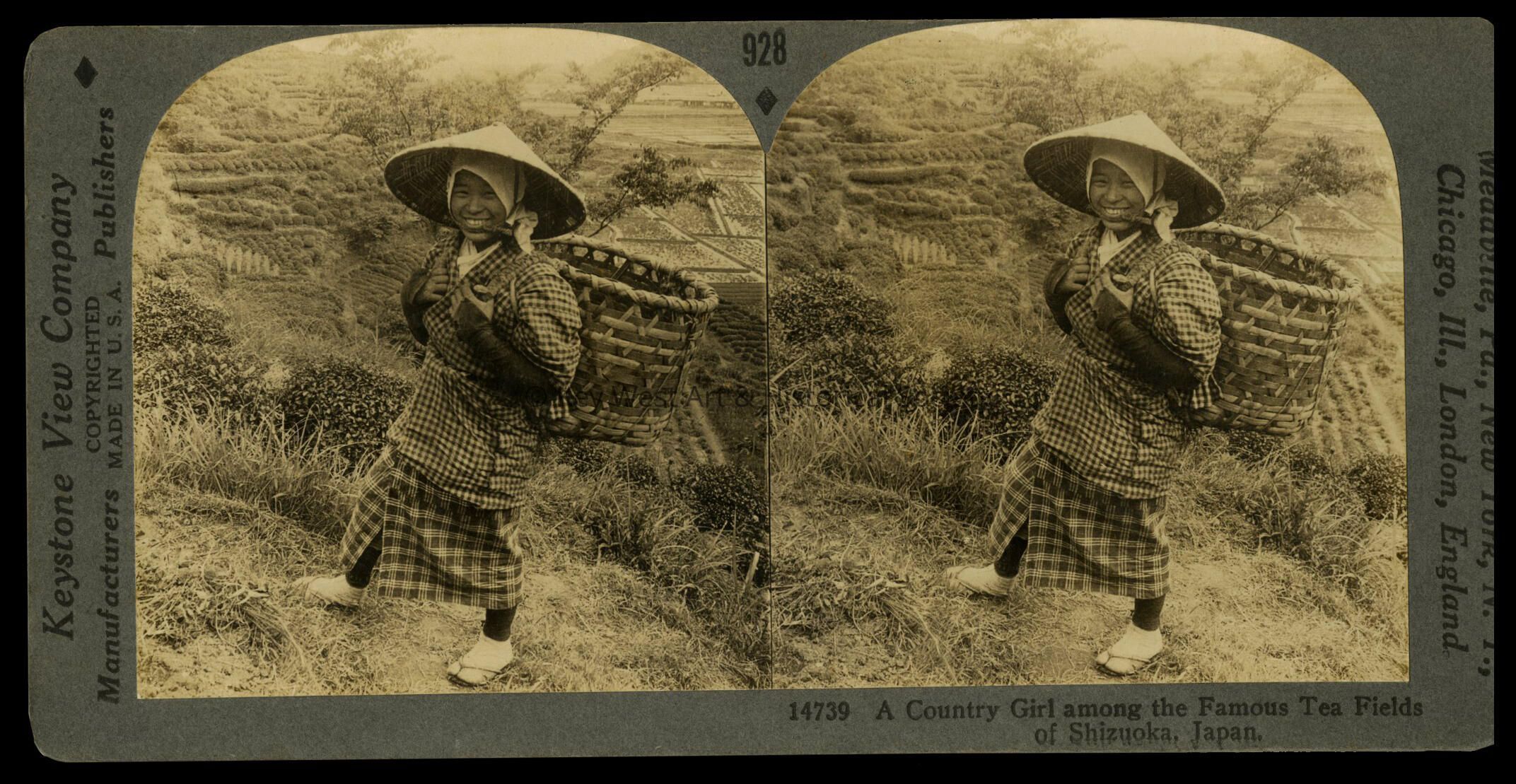 A Country Girl Among the Famous Tea Fields of Shizuoka, Japan; Copyright: © Key West Art & Historical Society; Origformat: Print-Photographic; Resolution: 300 dpi