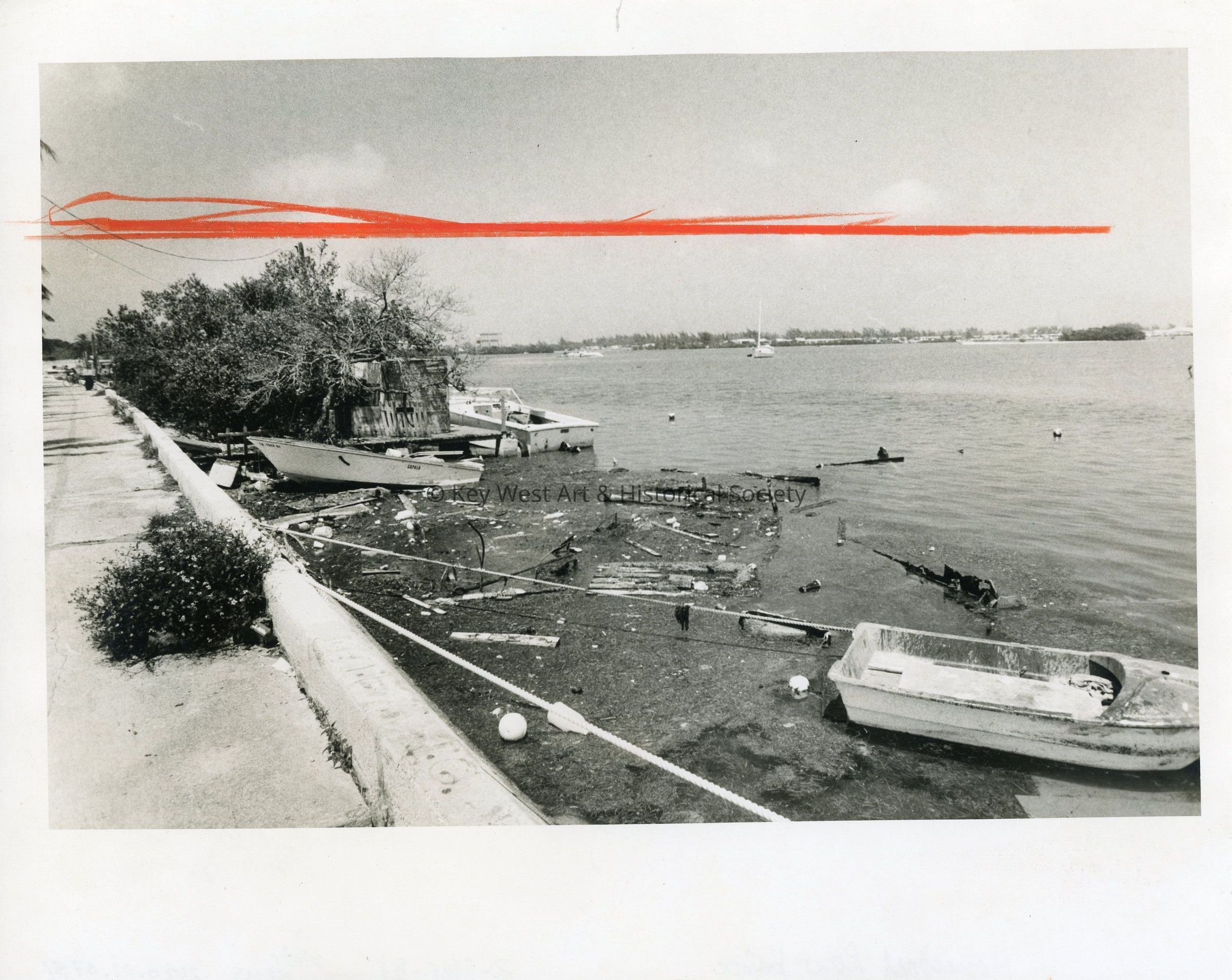 House Boat Row To Be picture number 1