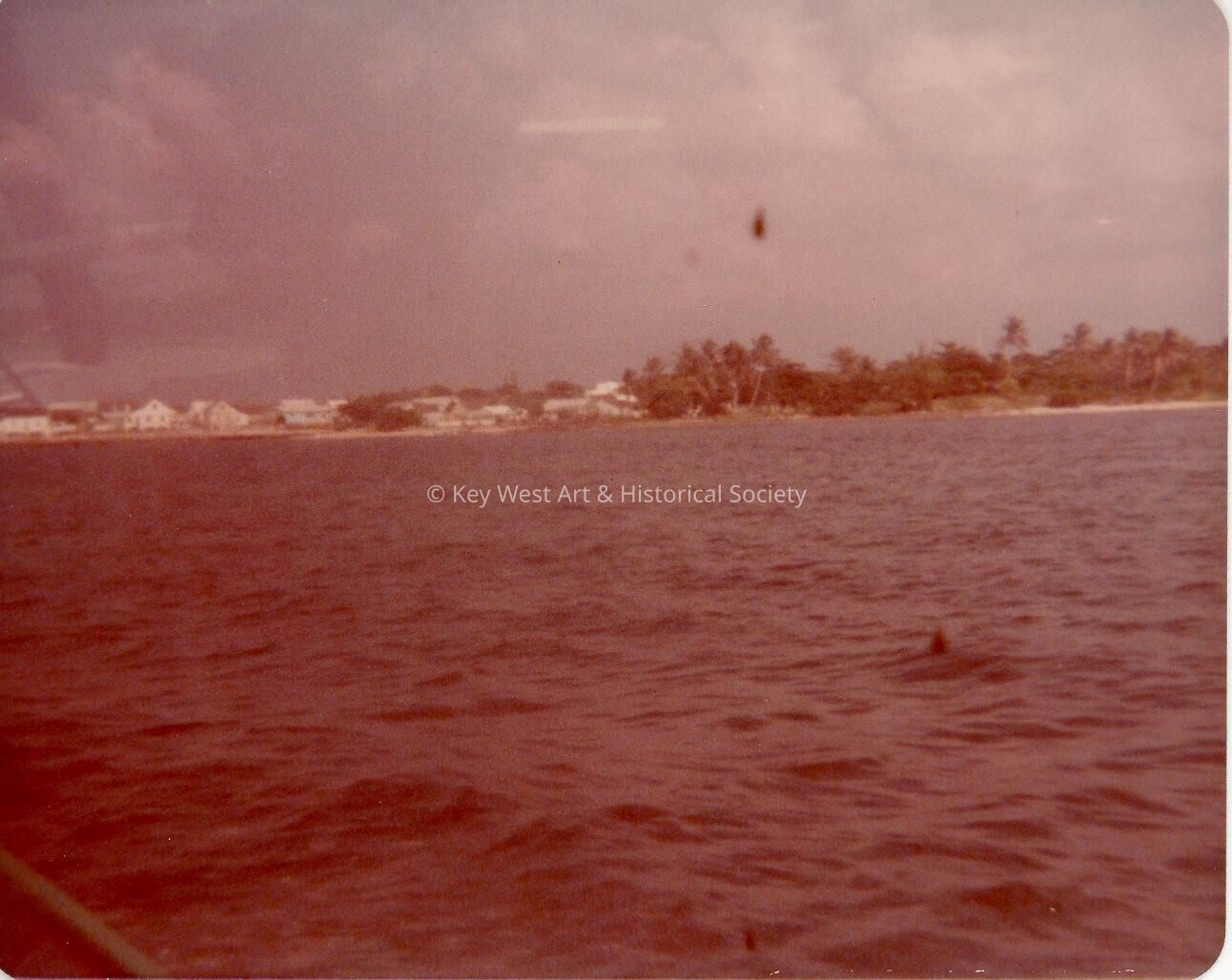 An ocean