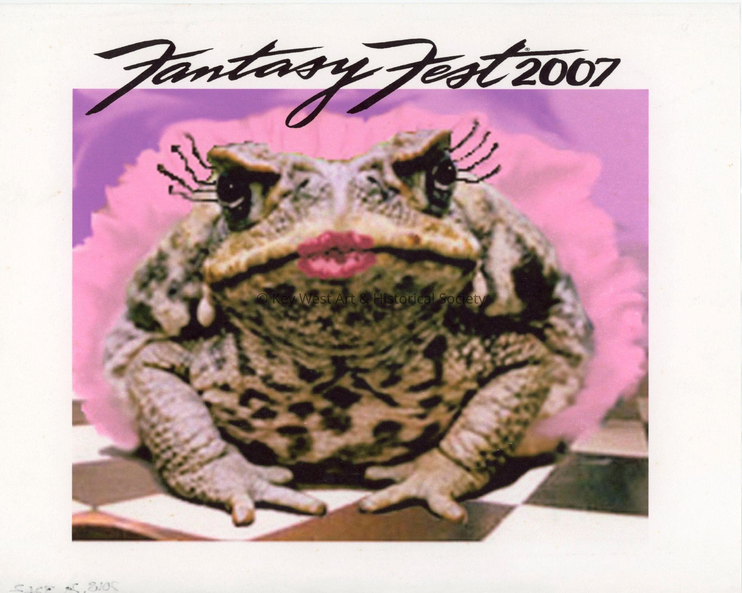A frog with eyelashes and pink lips that reads Fantasy Fest 2007.