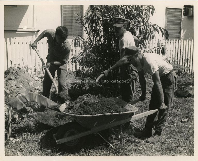 3 Unknown men cleaning a yard