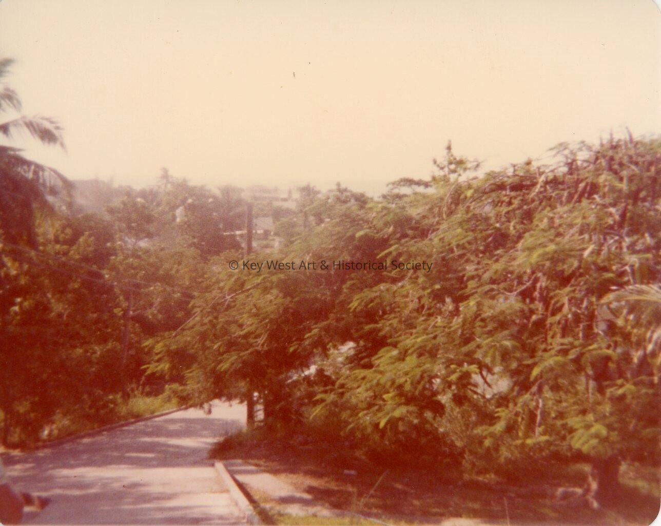 An outside view