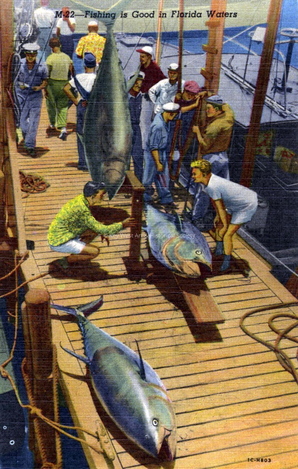 Fishing is Good in Florida Waters