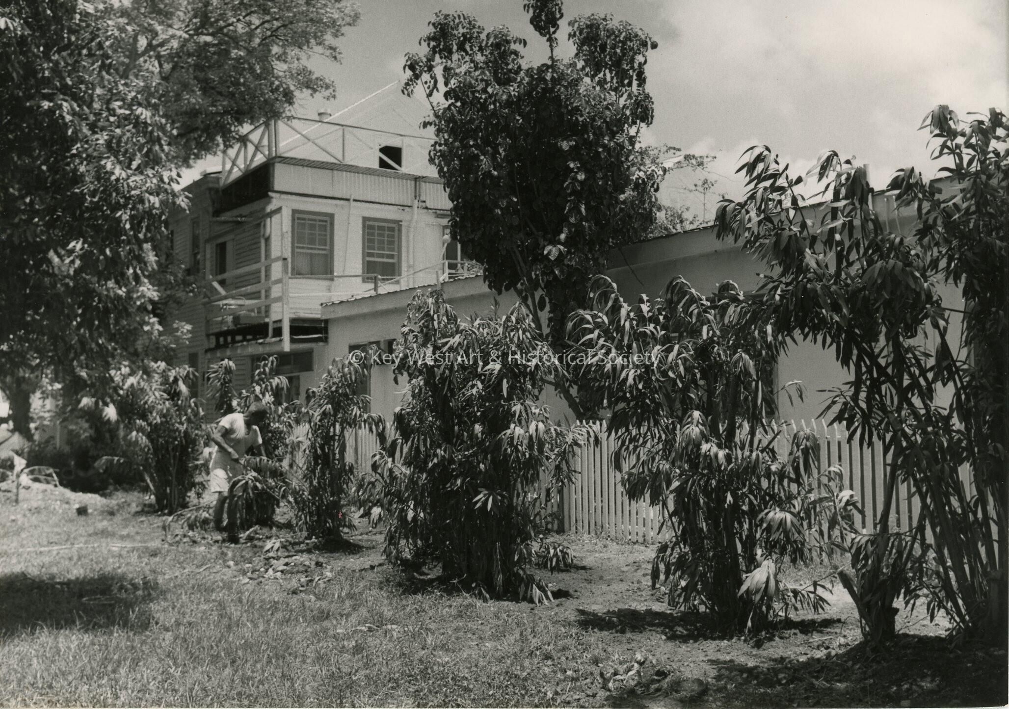 A yard