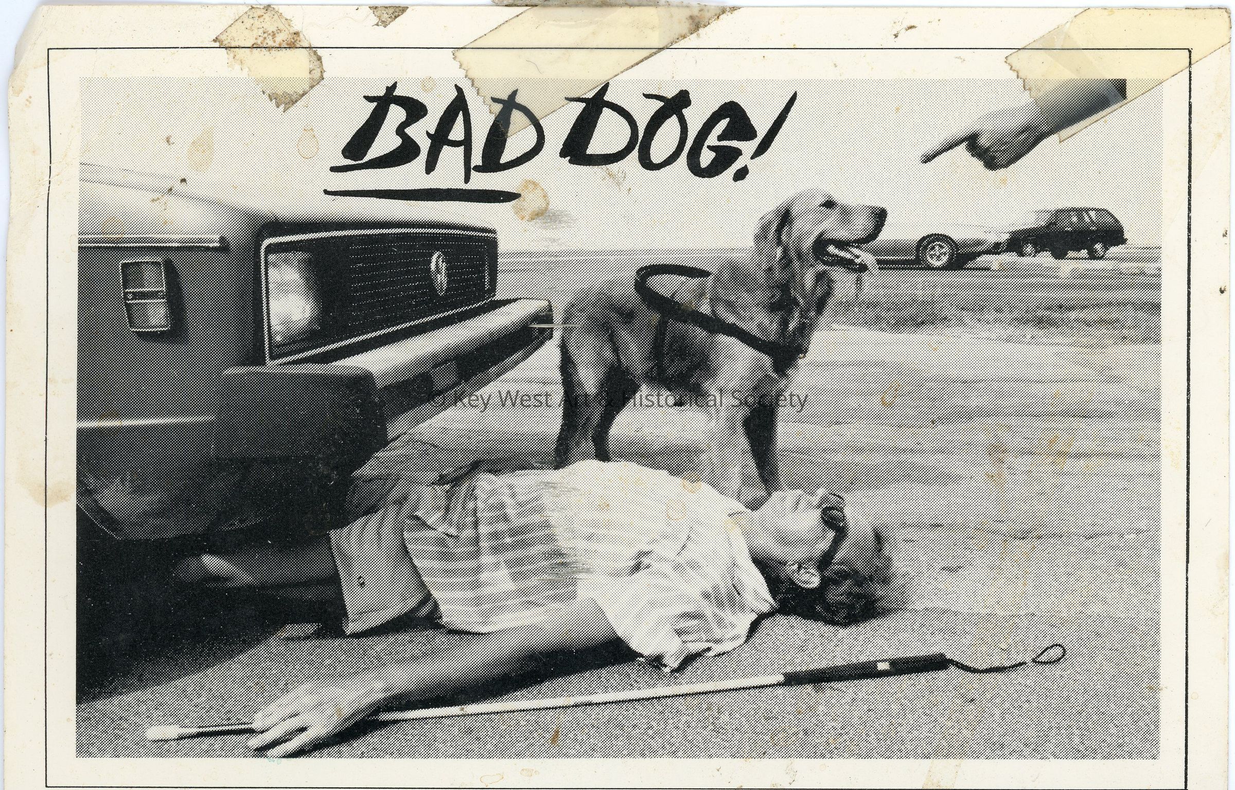 Bad Dog!; © Key West Art & Historical Society