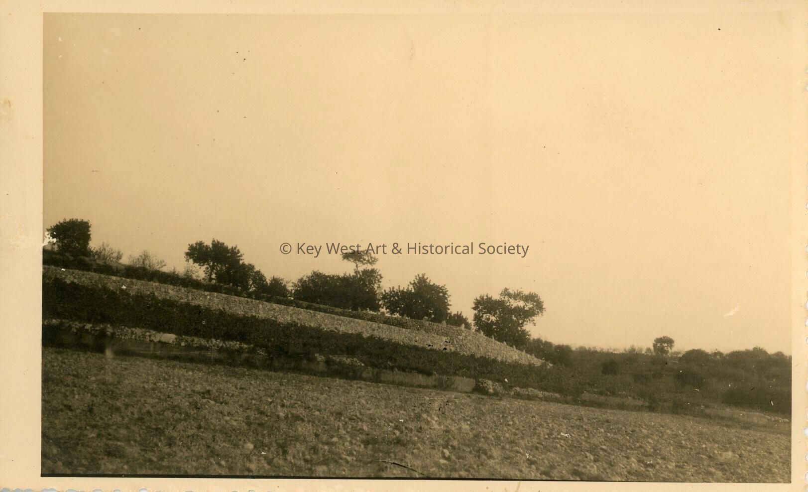 A yard with an object