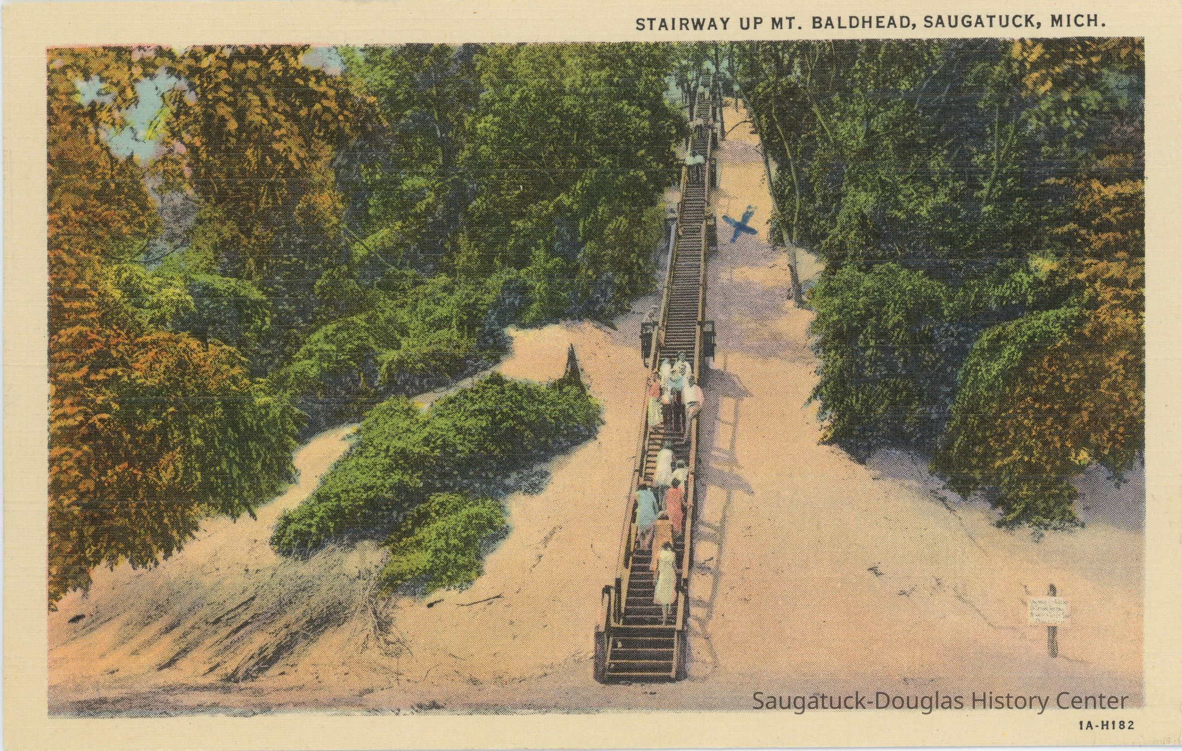 Stairway up Mt. Baldhead Postcard