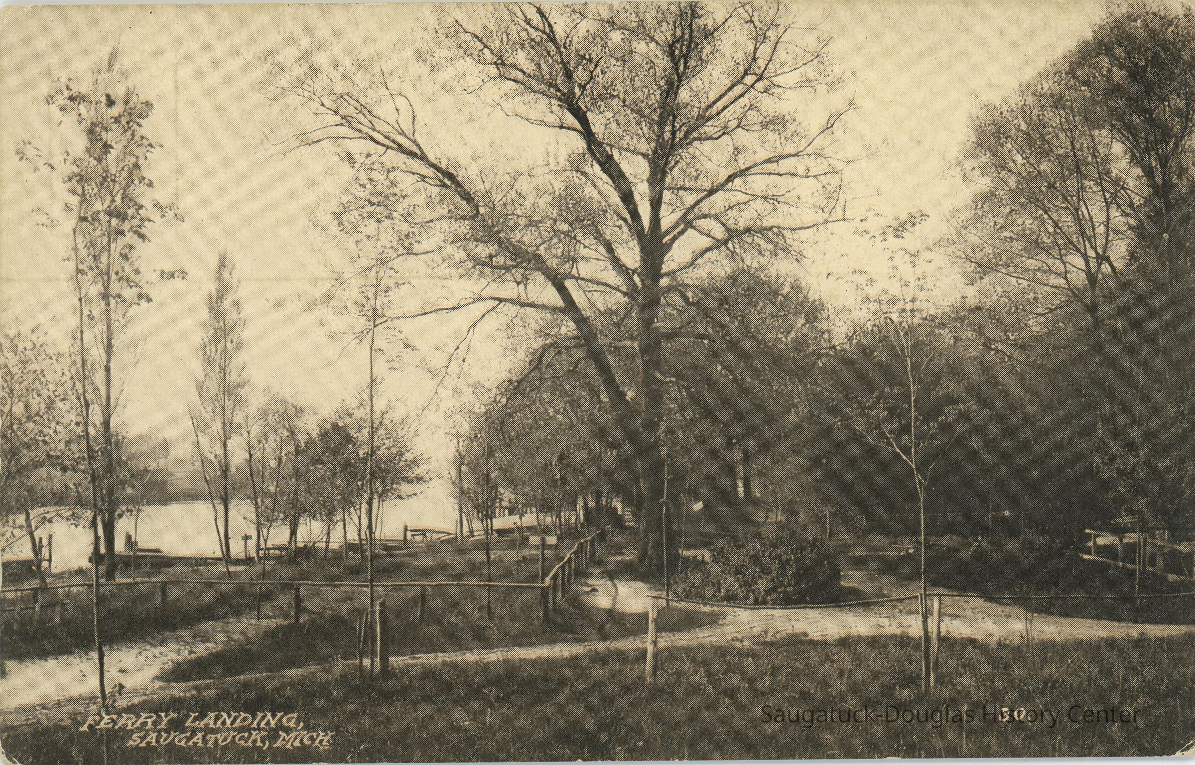 Ferry Landing Postcard