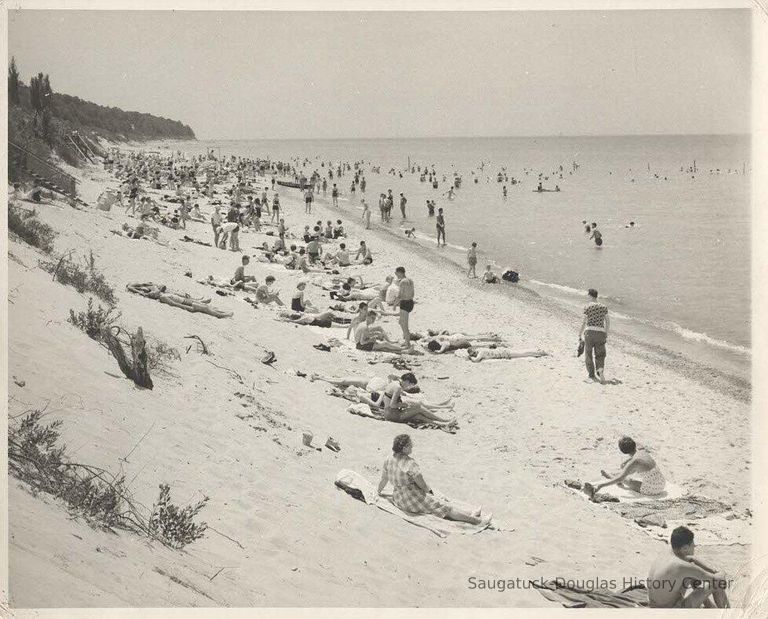          Oval Beach Saugatuck
   