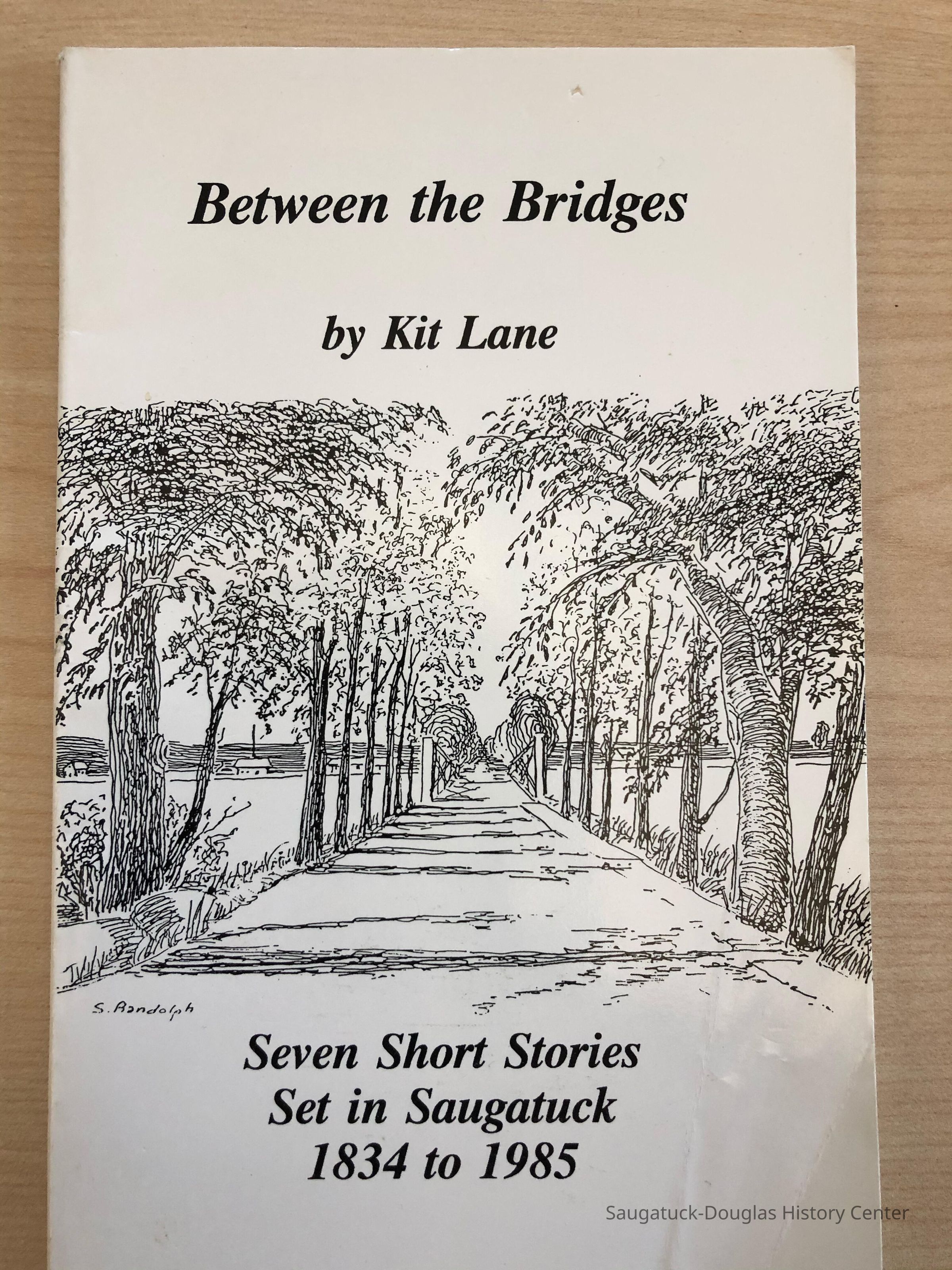 Front cover of book Between the Bridges by Kit Lane