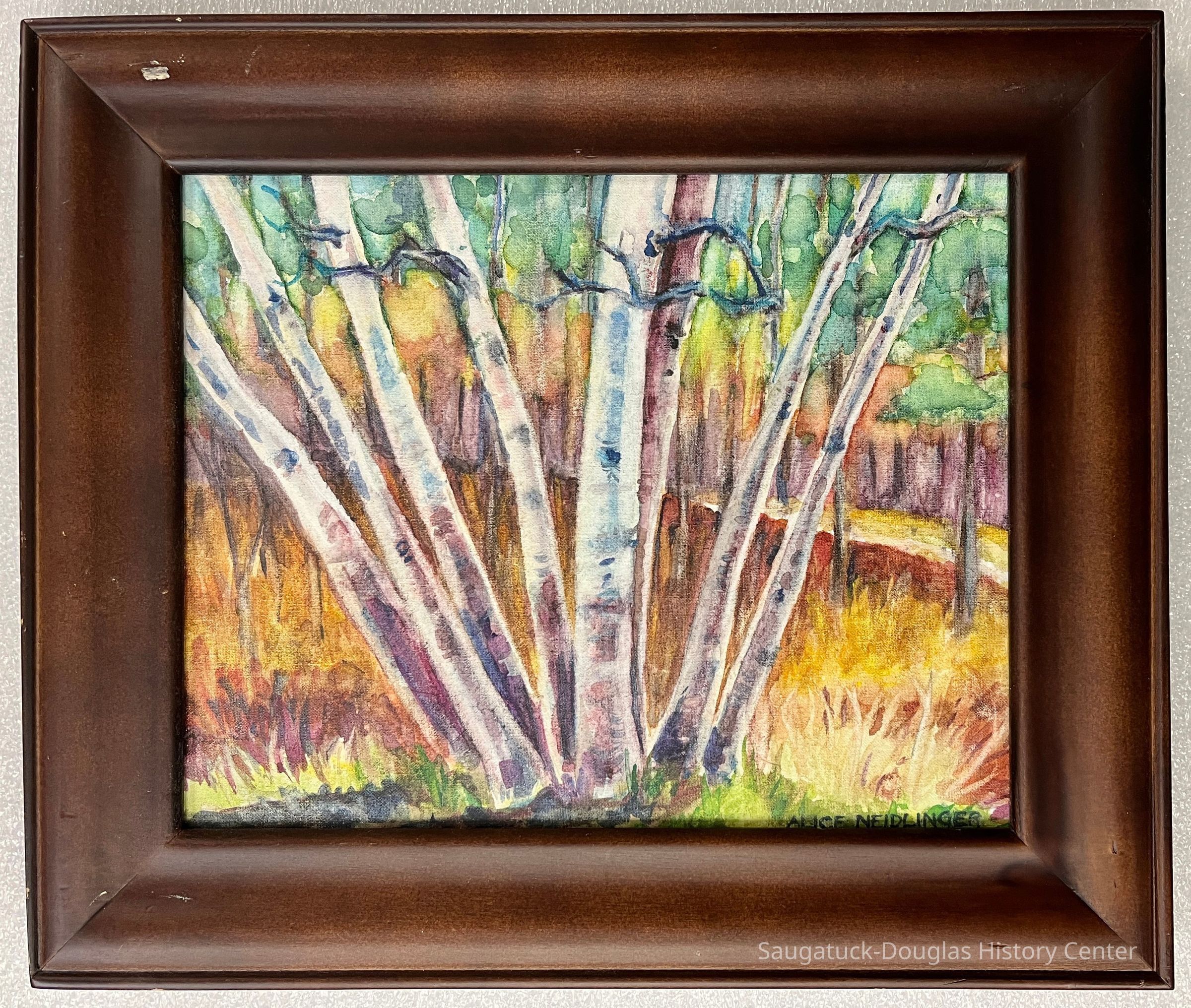 Willow Trees picture number 1