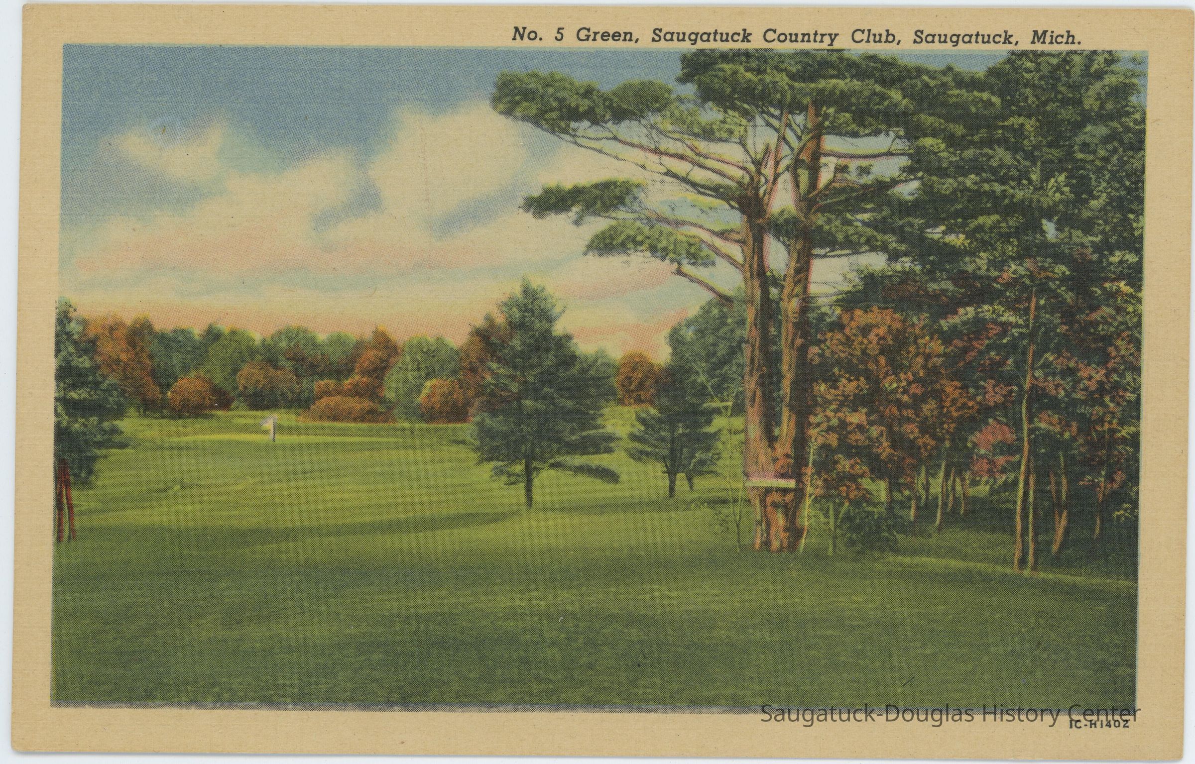 No. 5 Green, Saugatuck Country Club Postcard