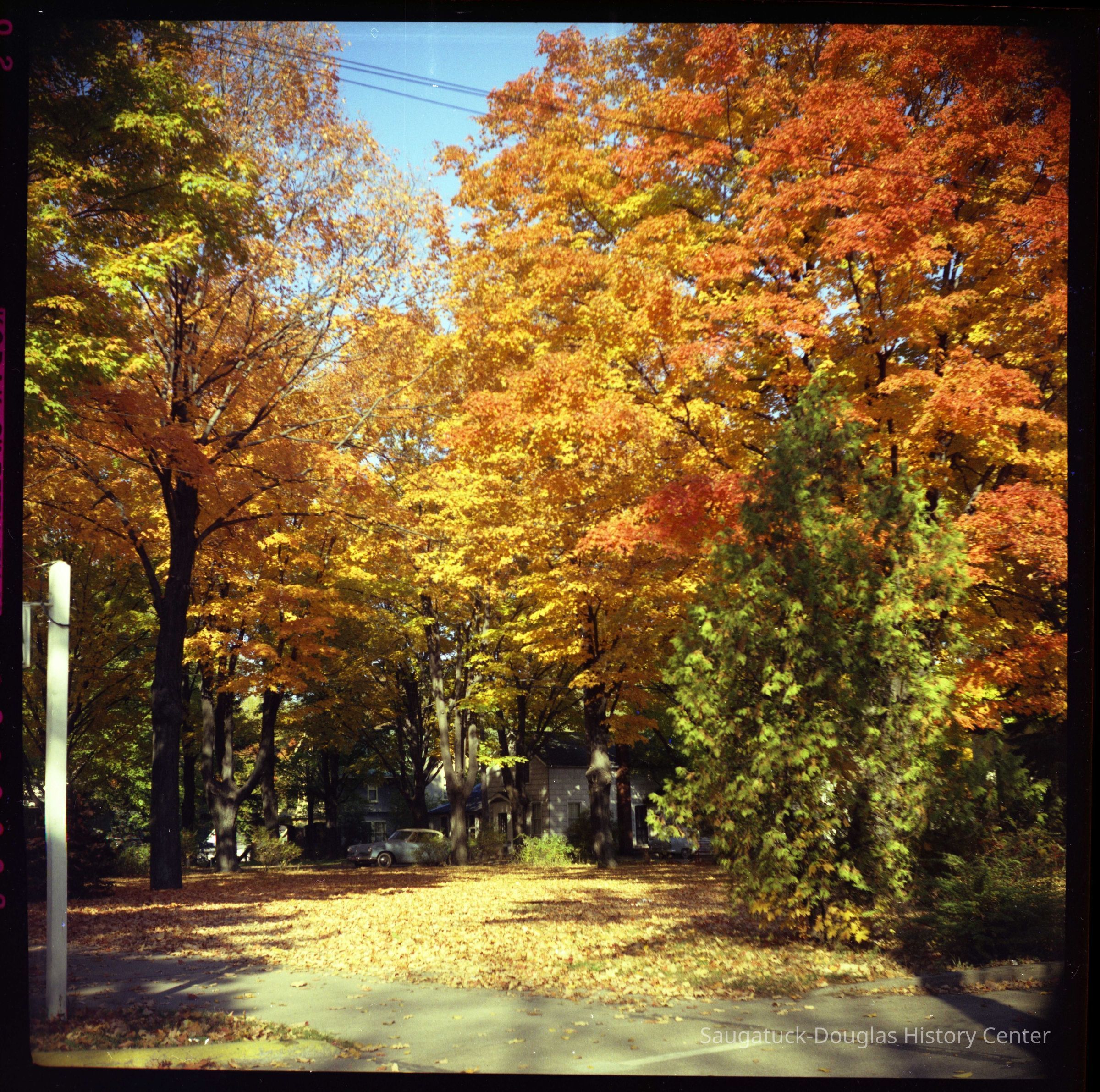          Simons 655-AutumnColor10-1957-4.7MB.jpg
   